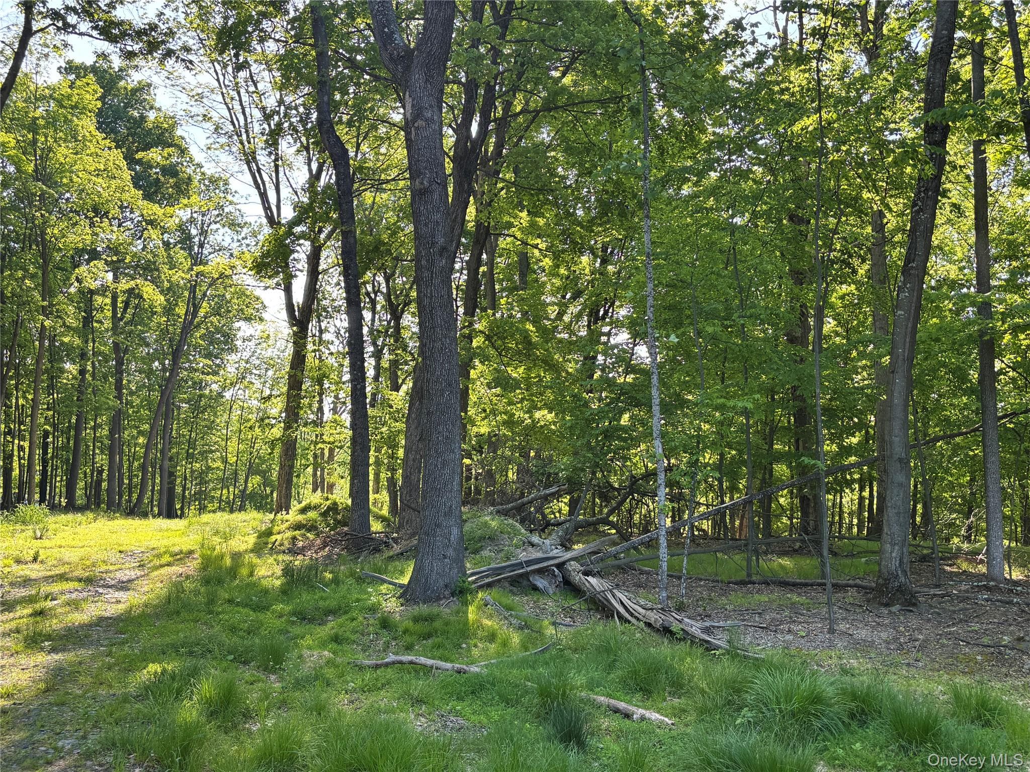 South Plank Road thumbnail 10