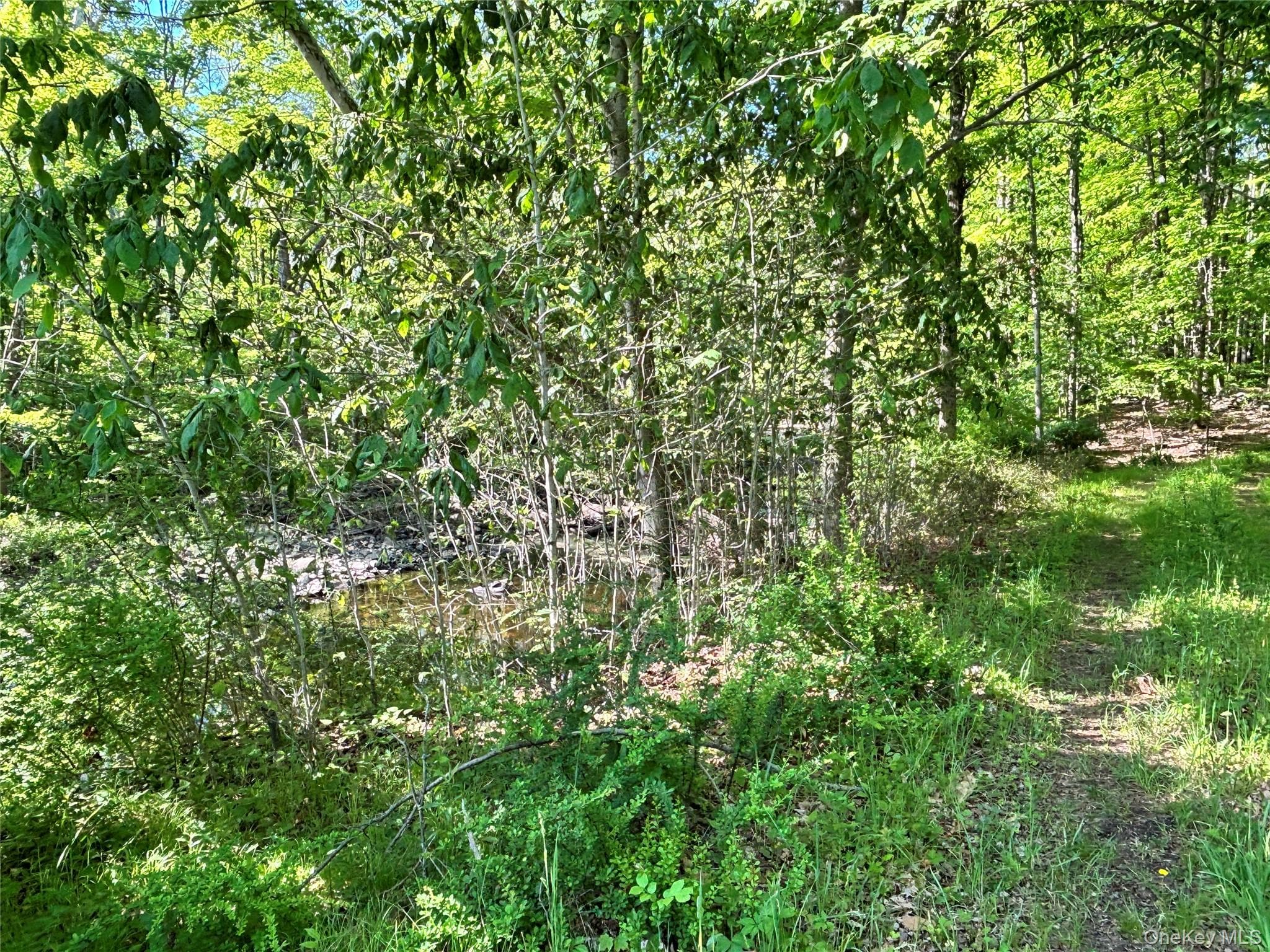 South Plank Road thumbnail 12