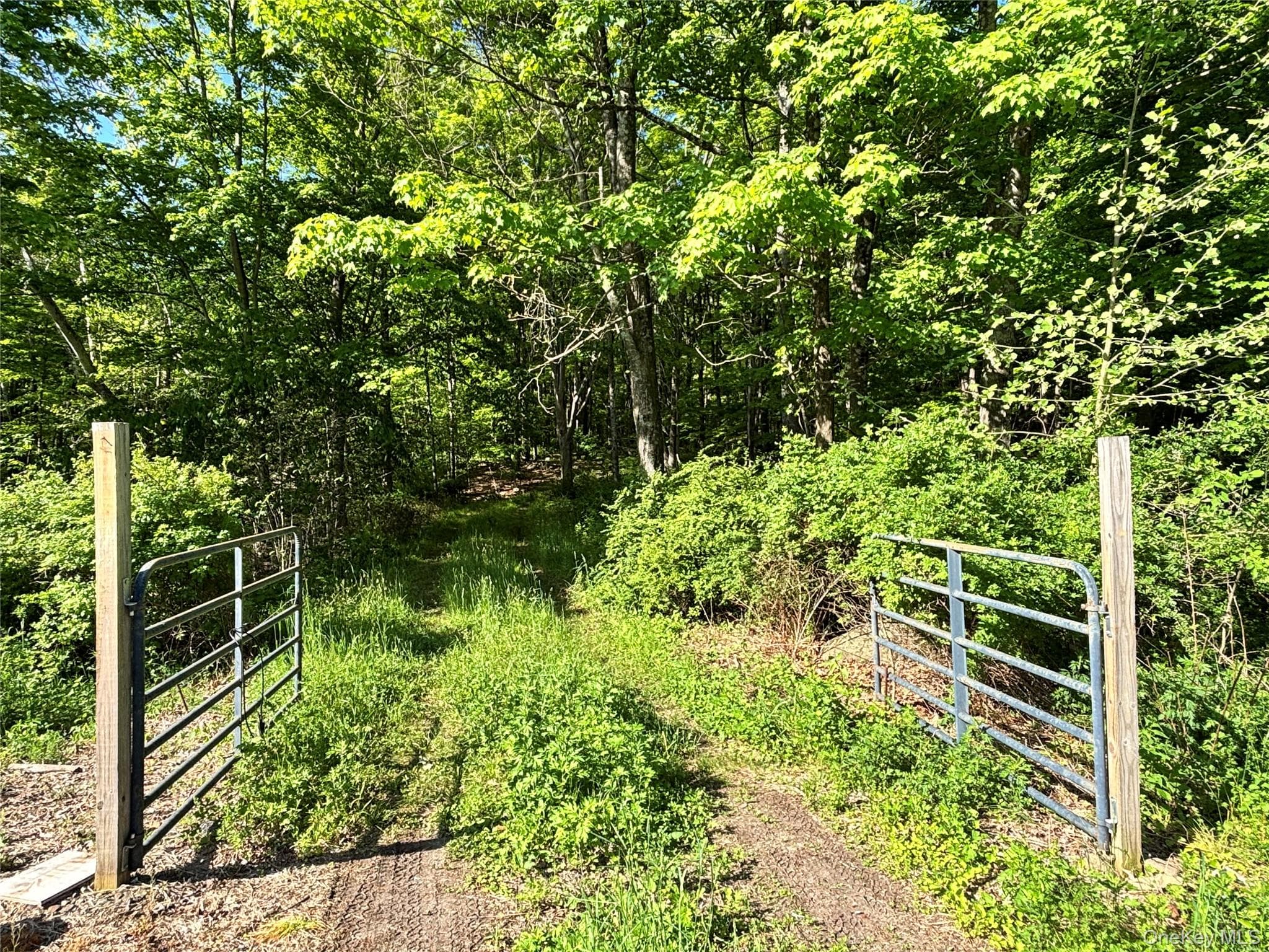 South Plank Road thumbnail 11