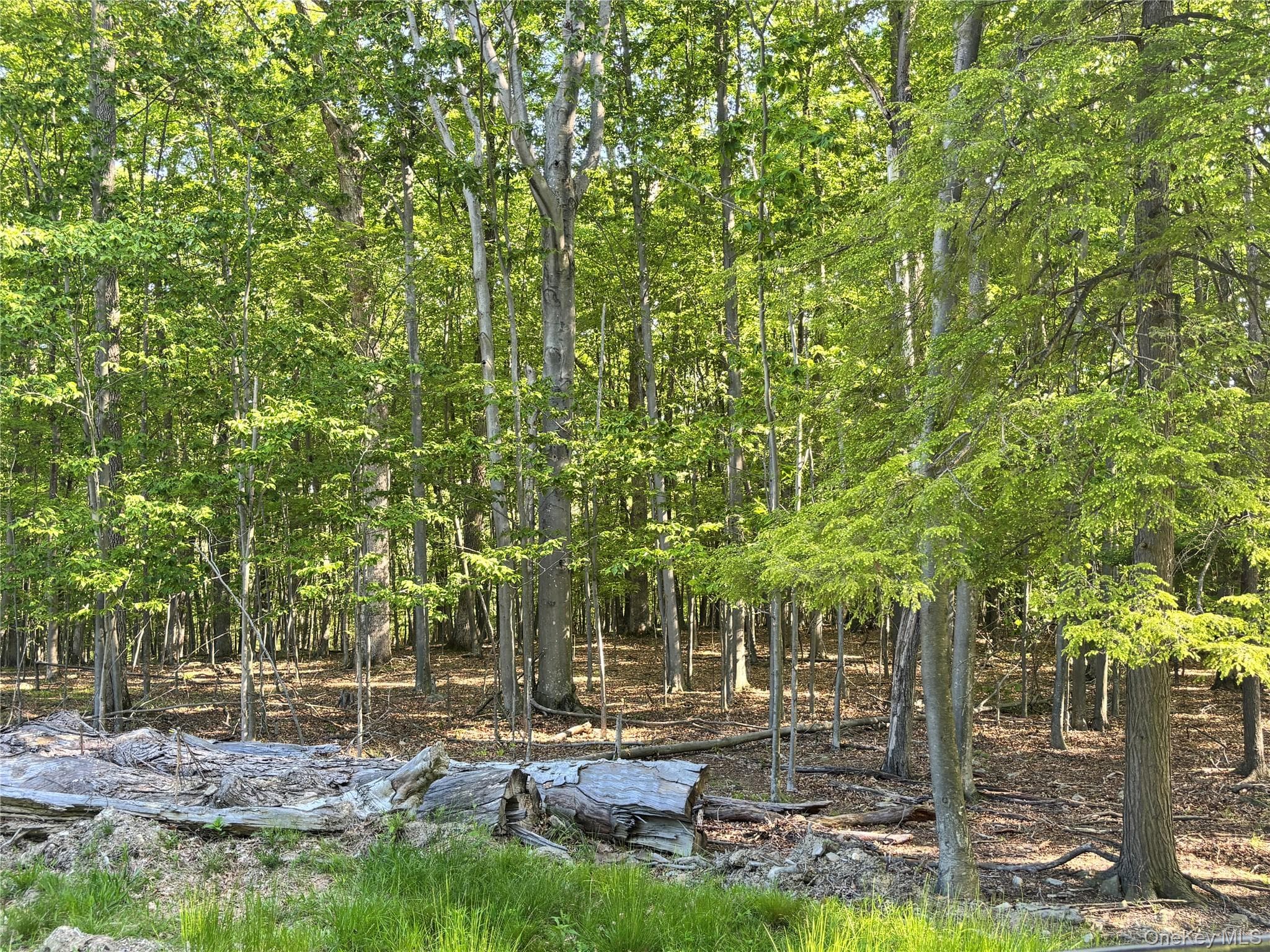 South Plank Road thumbnail 8