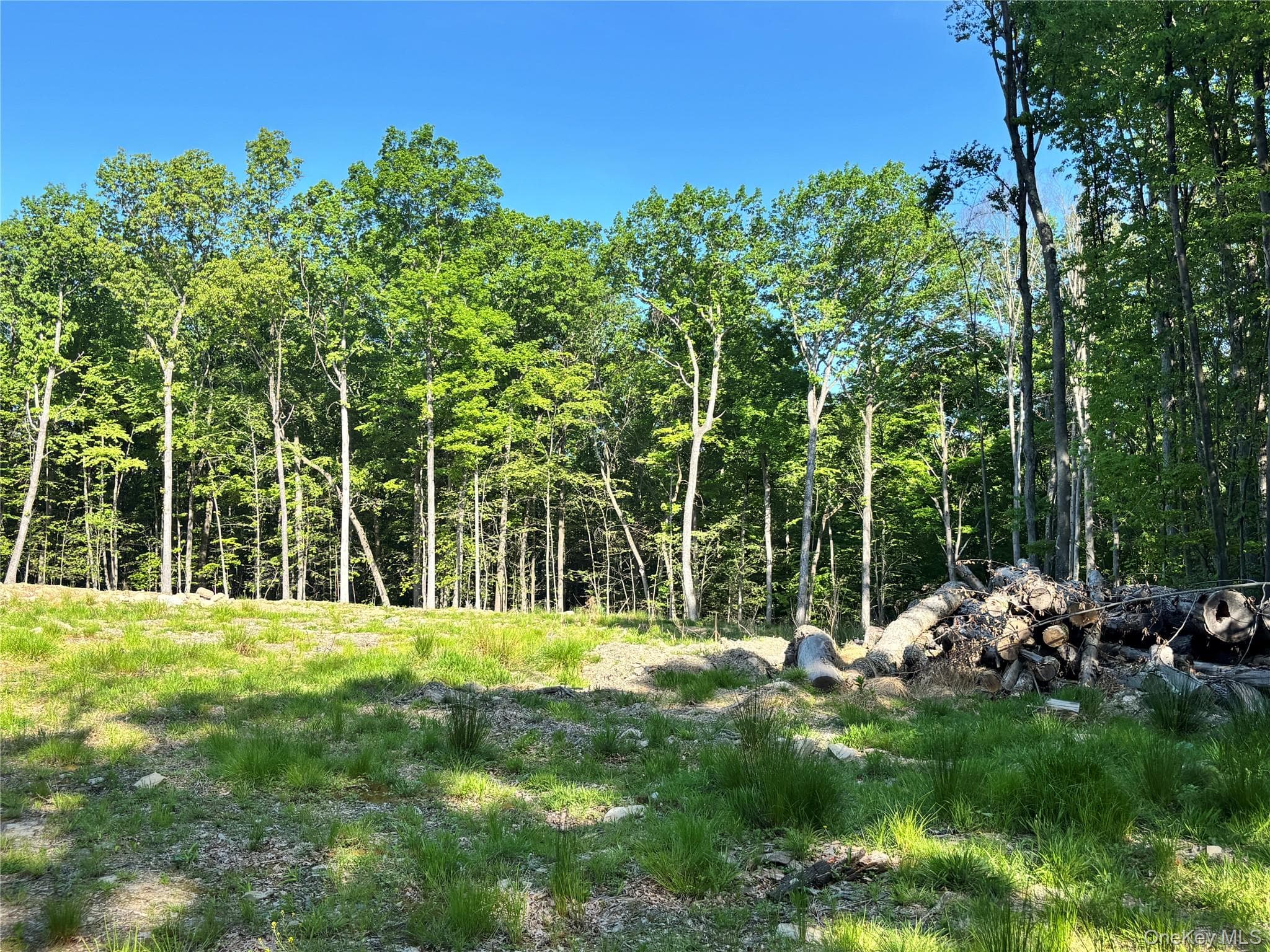 South Plank Road thumbnail 6