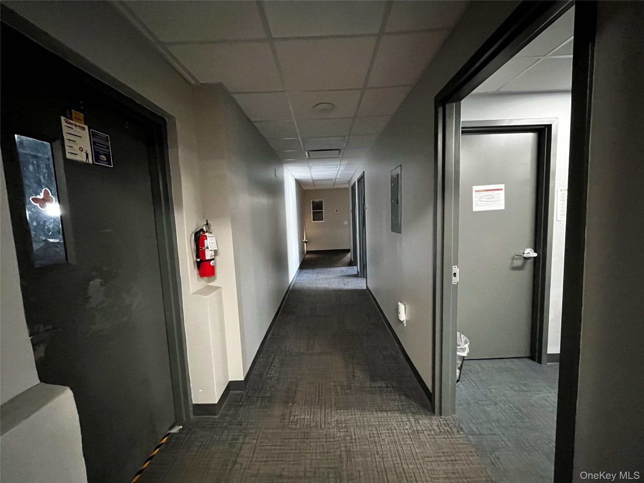 69 Dickson Street thumbnail 15
