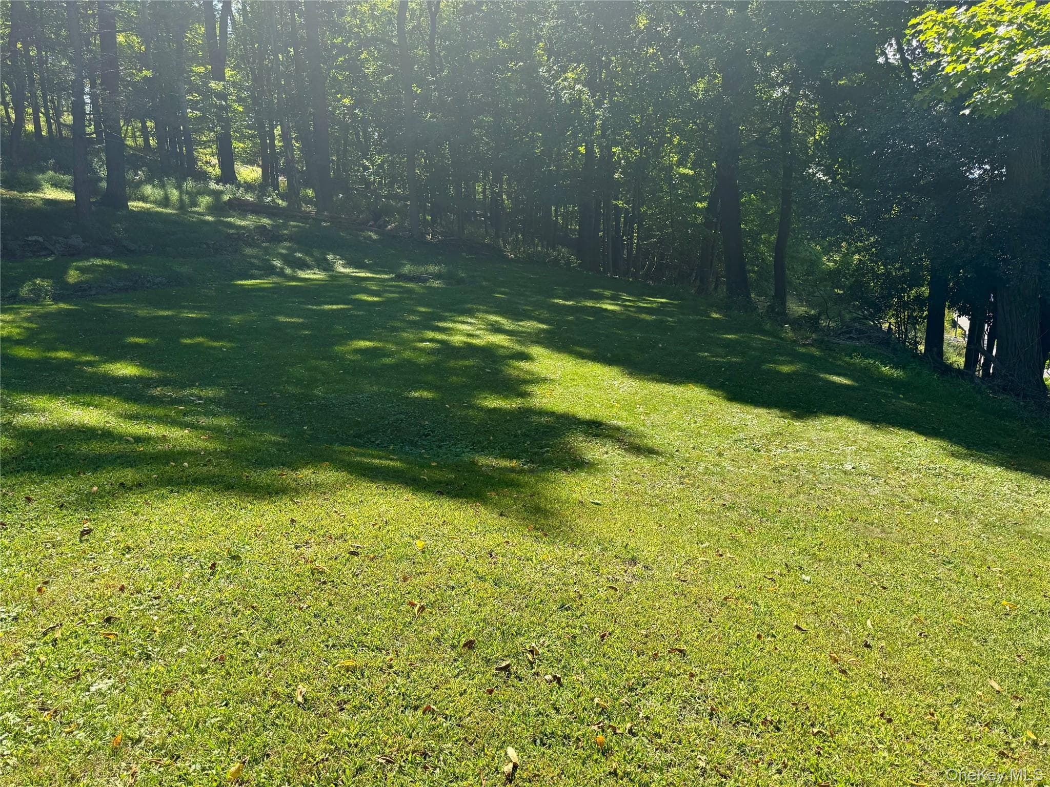 90 Prospect Avenue thumbnail 4