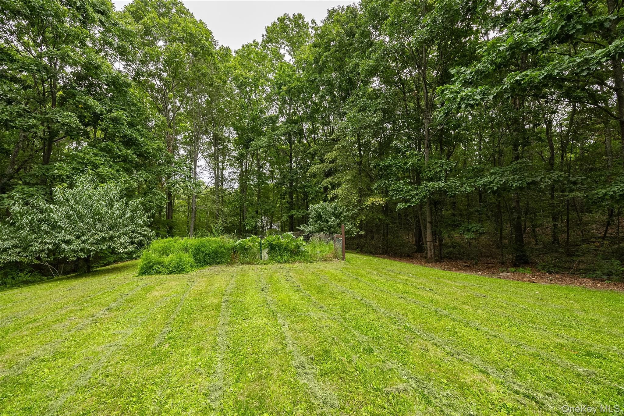 428 Clinton Hollow Road thumbnail 17