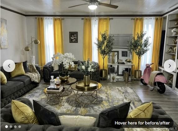 249 Calhoun Avenue thumbnail 3