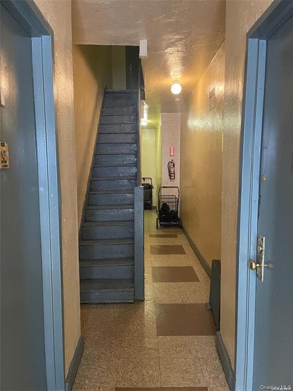 567 Saint Johns Place Unit: 8 thumbnail 2