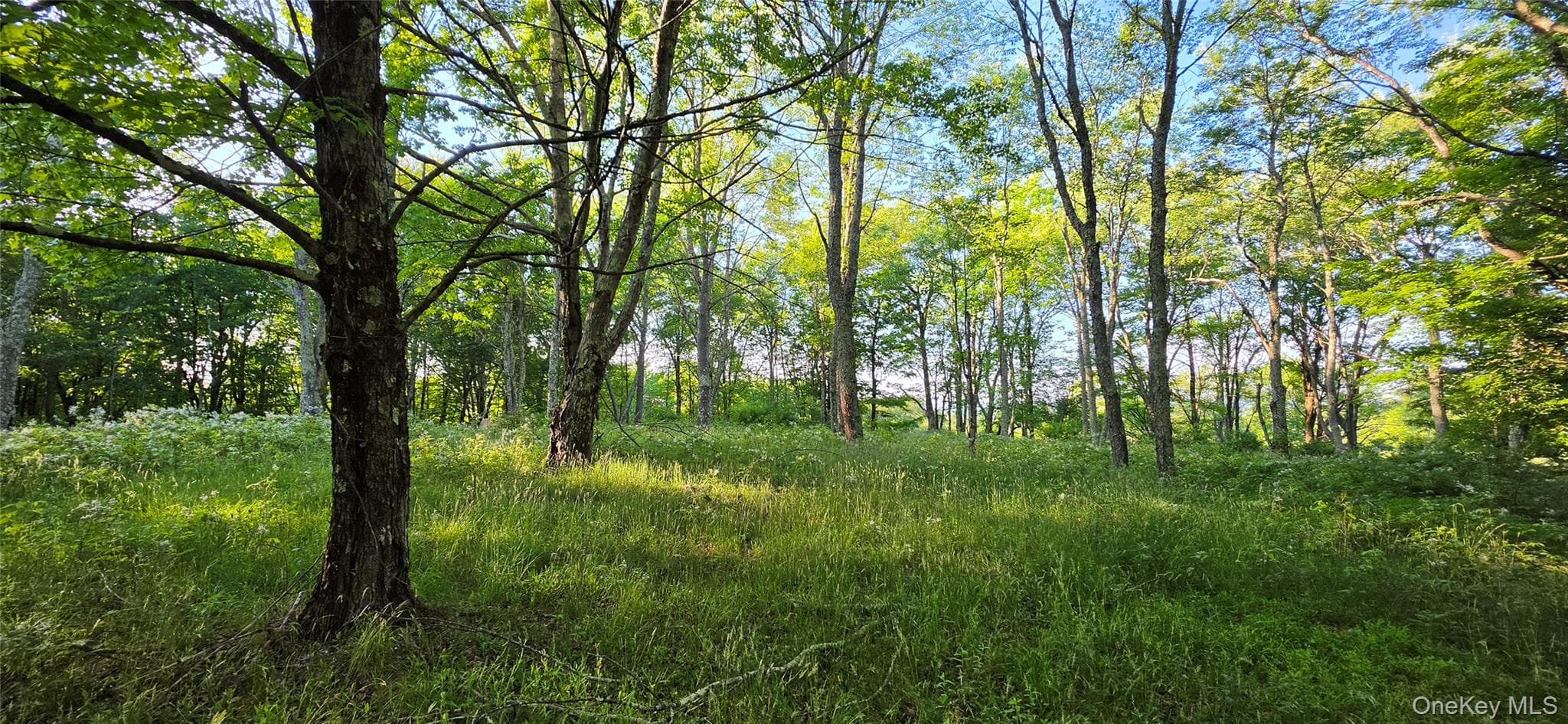 Lot 1.35 W Shore Road thumbnail 6