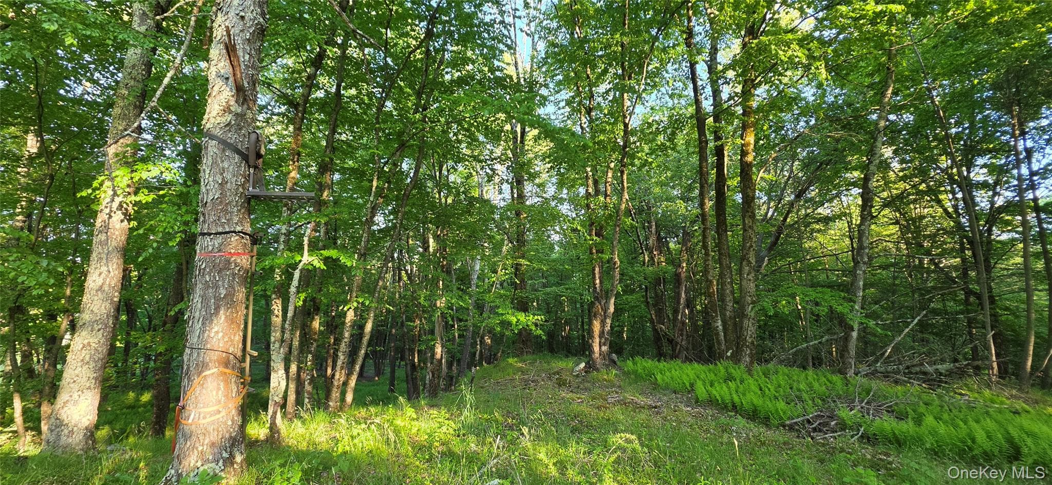 Lot 1.35 W Shore Road thumbnail 16