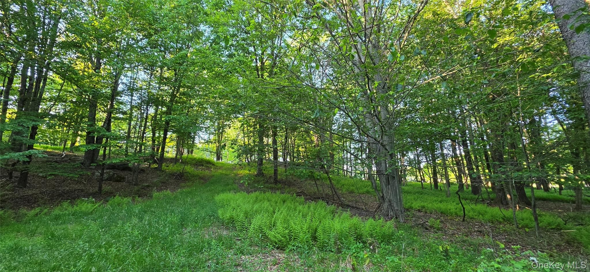 Lot 1.35 W Shore Road thumbnail 5