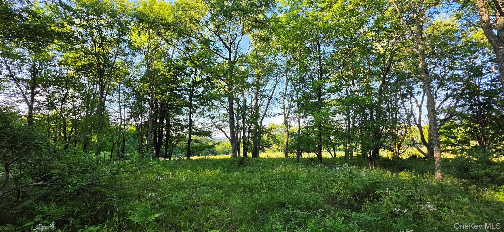 Lot 1.35 W Shore Road thumbnail 10
