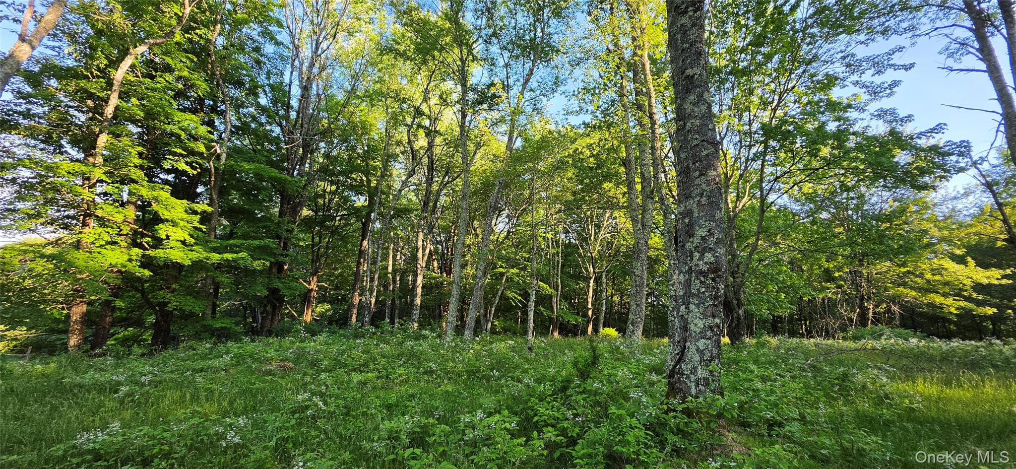 Lot 1.35 W Shore Road thumbnail 13