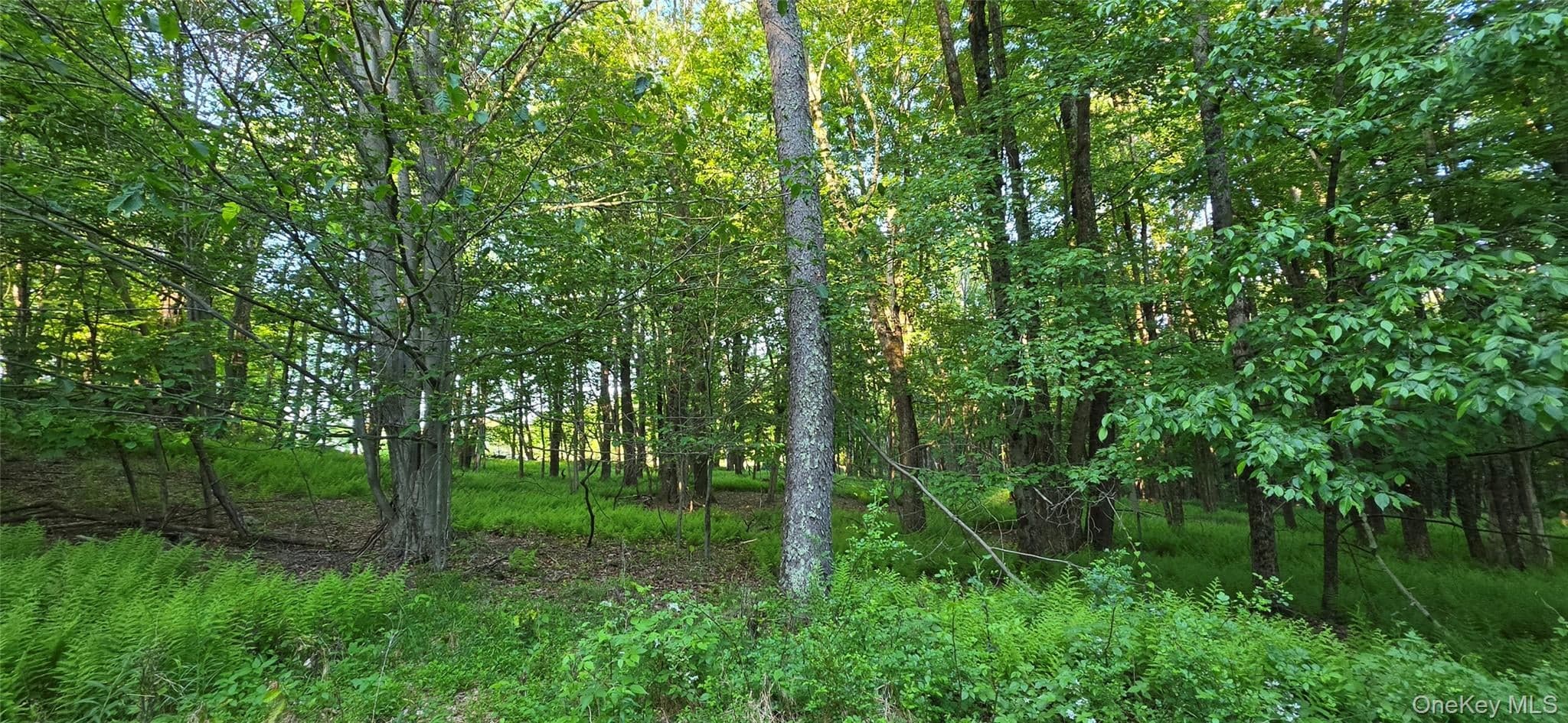 Lot 1.35 W Shore Road thumbnail 4