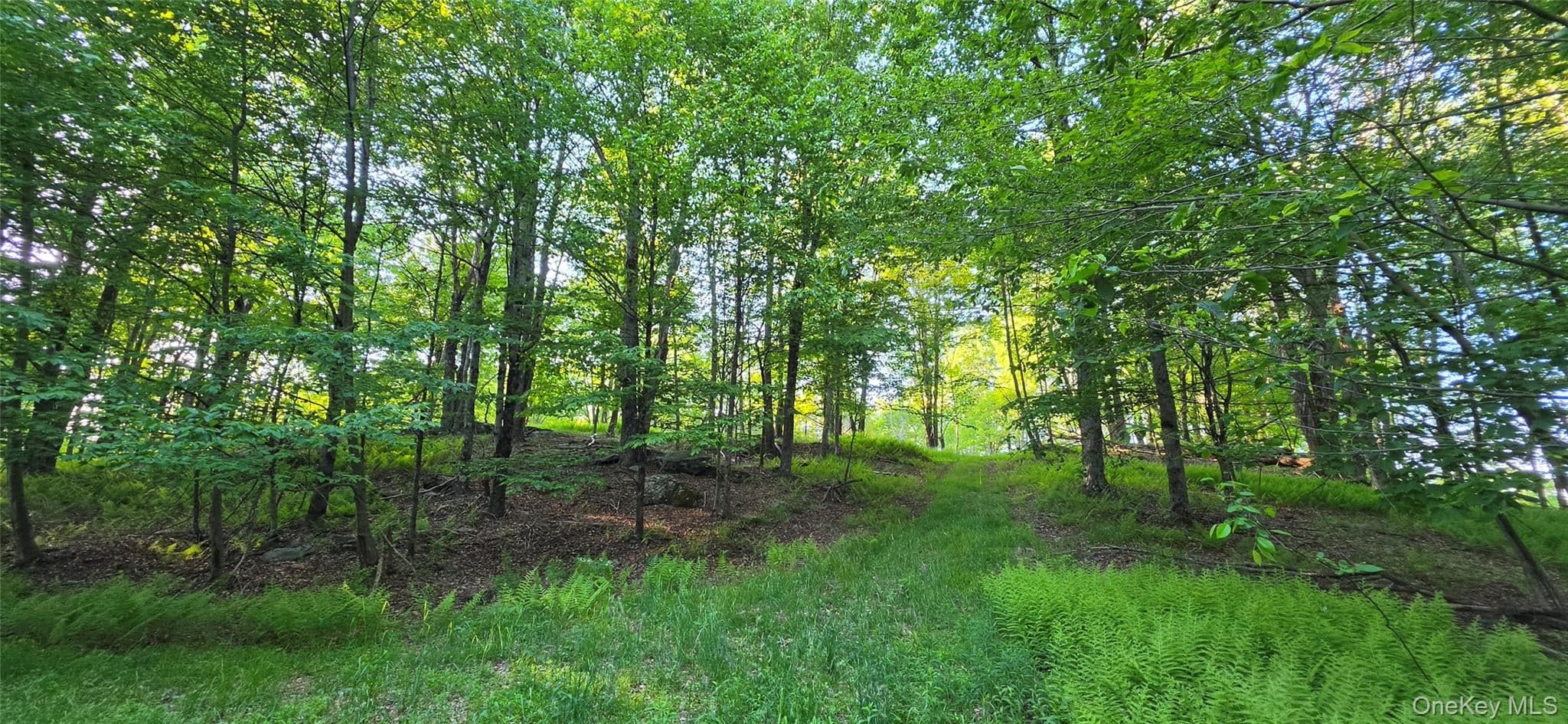 Lot 1.35 W Shore Road thumbnail 2