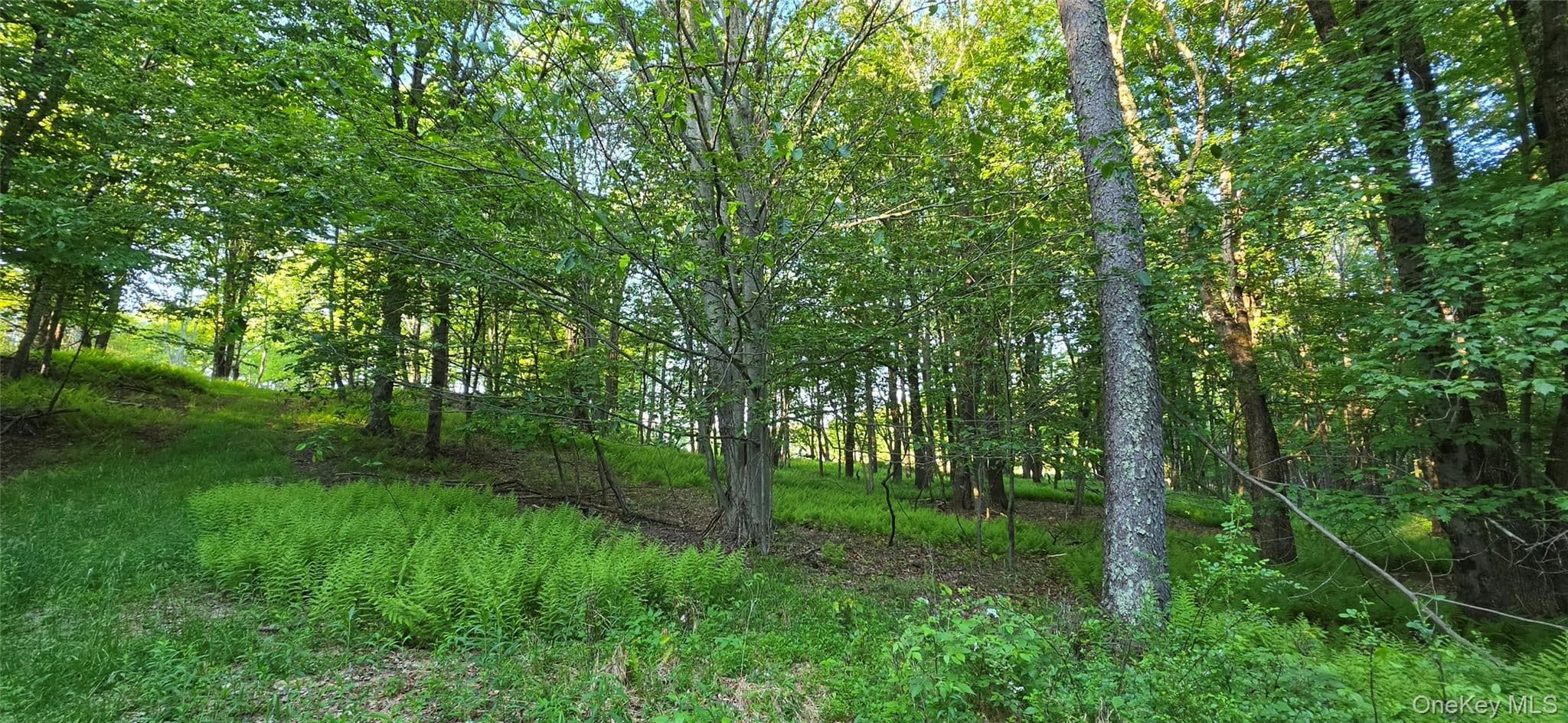 Lot 1.35 W Shore Road thumbnail 3