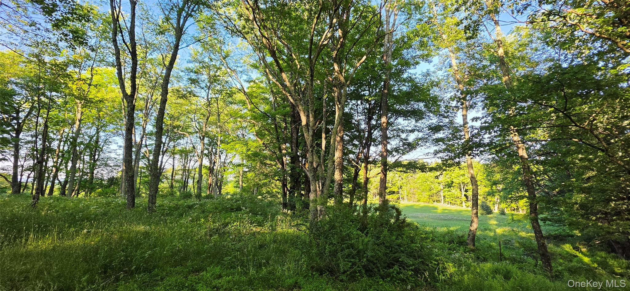Lot 1.35 W Shore Road thumbnail 7