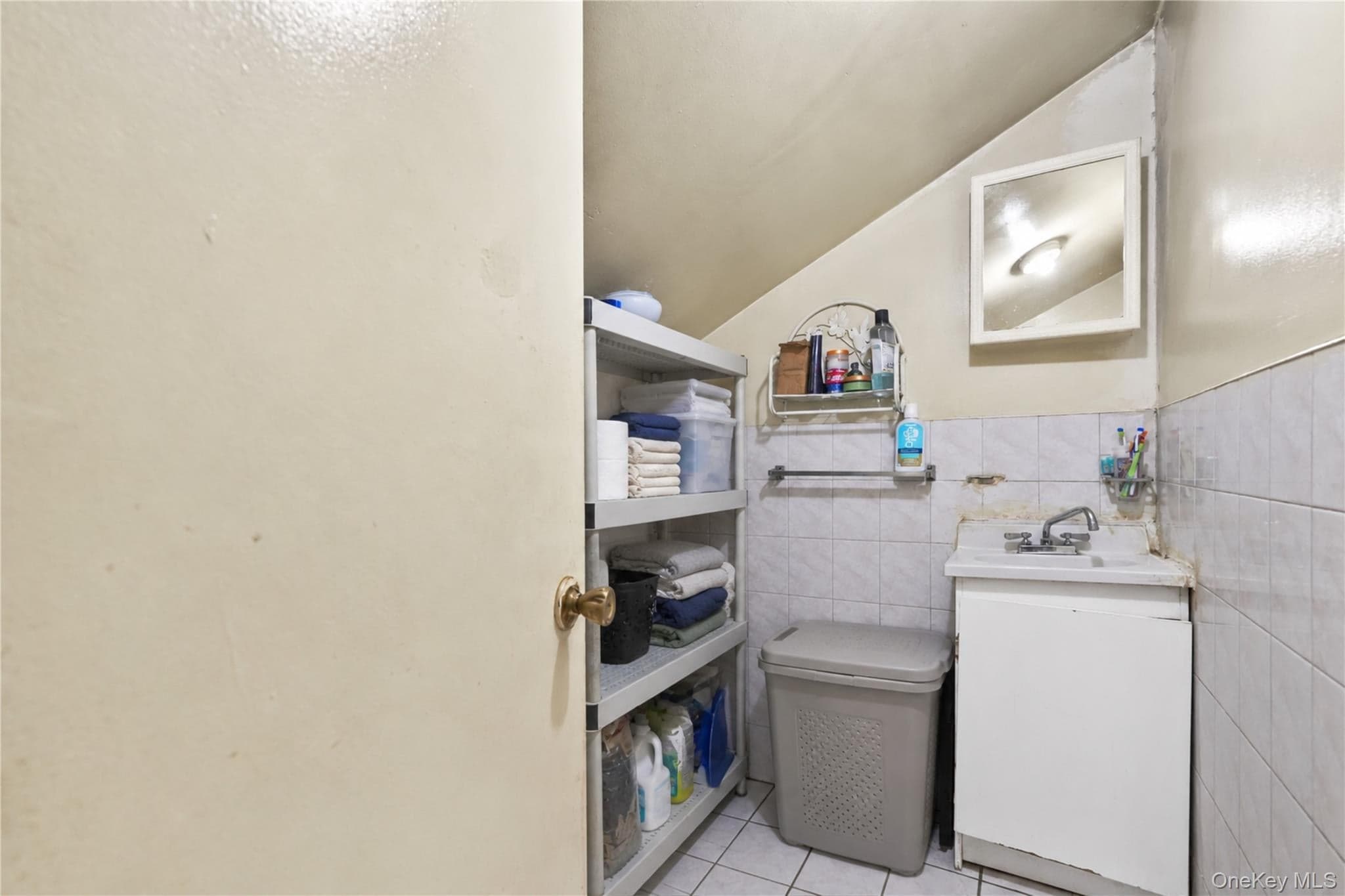 243 Schenck Avenue thumbnail 20