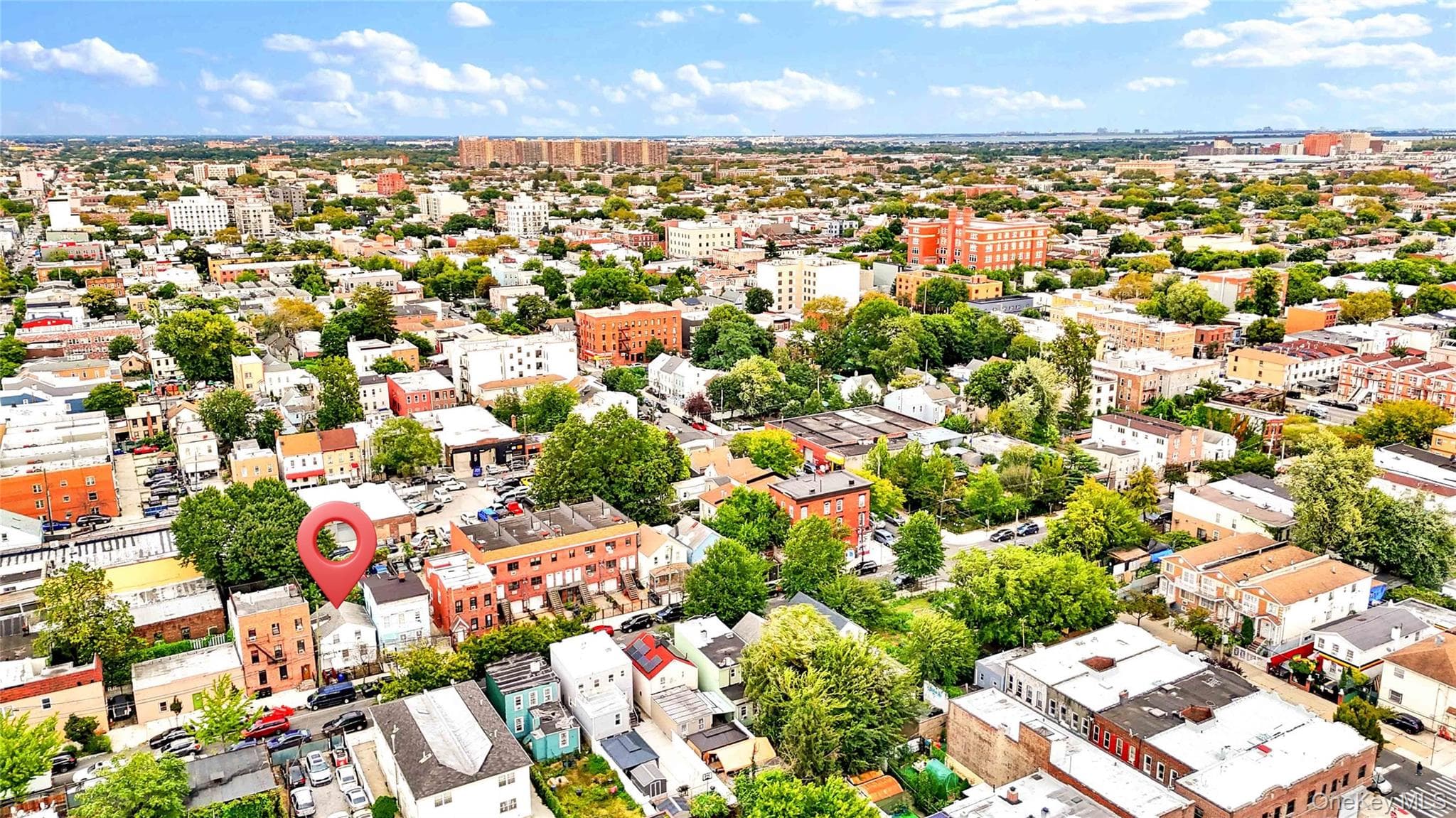 243 Schenck Avenue thumbnail 38