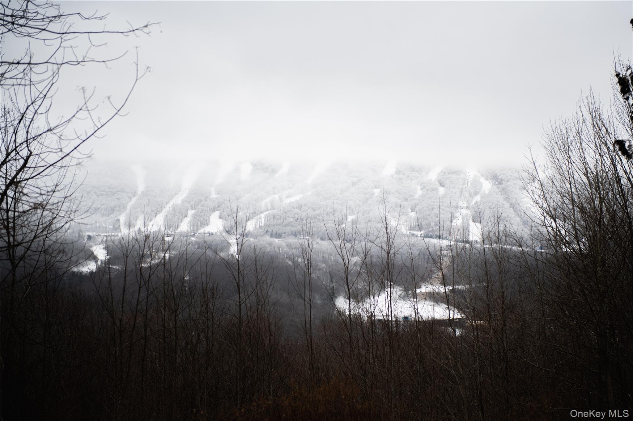 1270 Roaring Brook Lane thumbnail 32