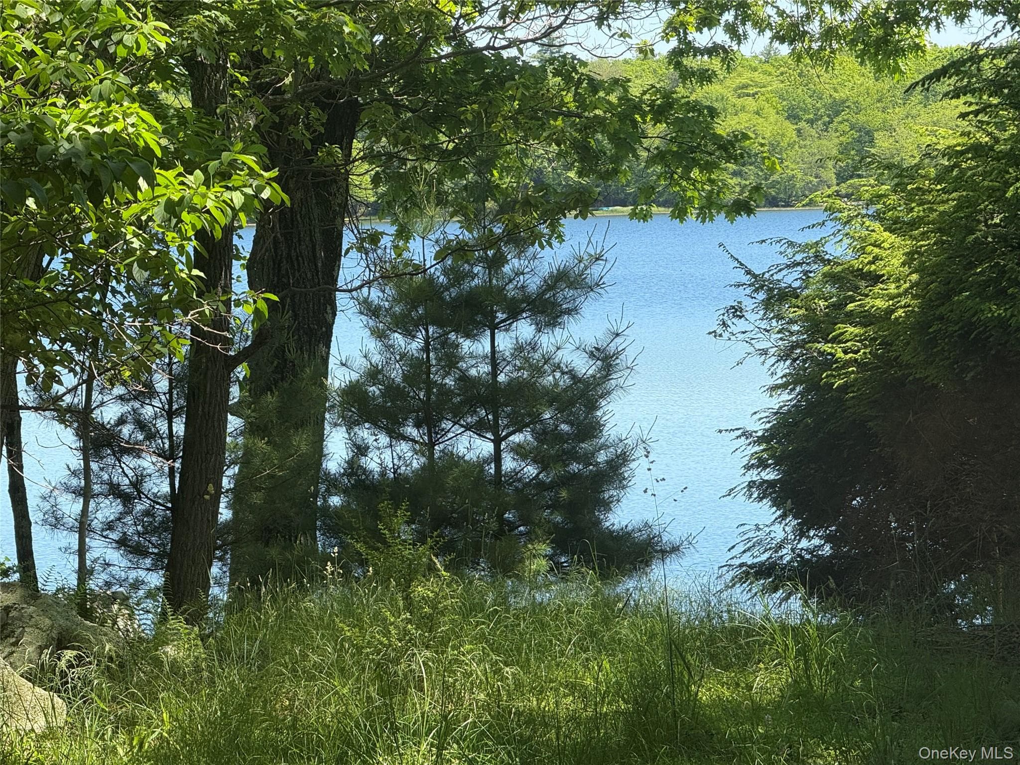 16 Fairway Drive thumbnail 39