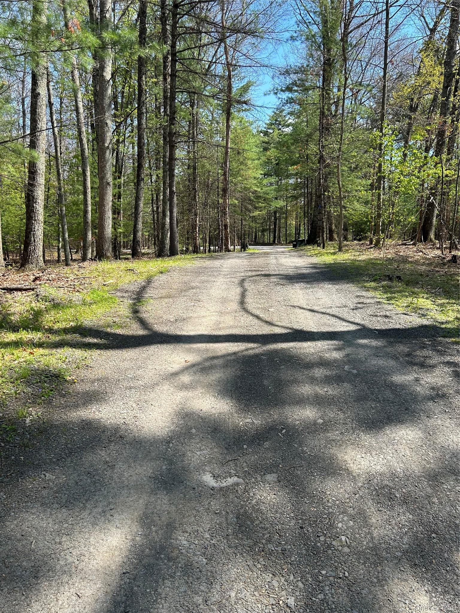 22 Pine Castle Drive thumbnail 9