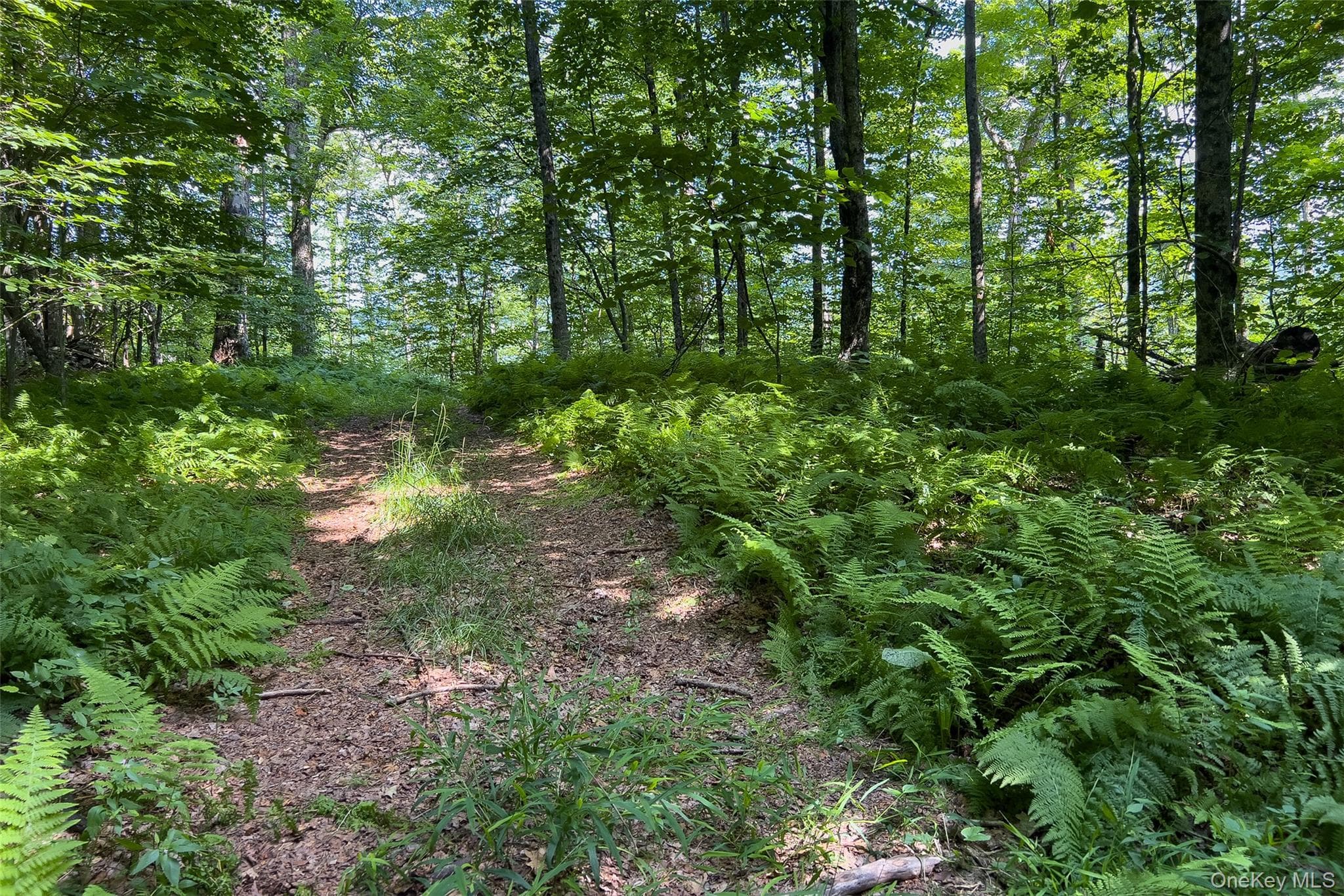 Lot #11 Franklin Depot Road thumbnail 39