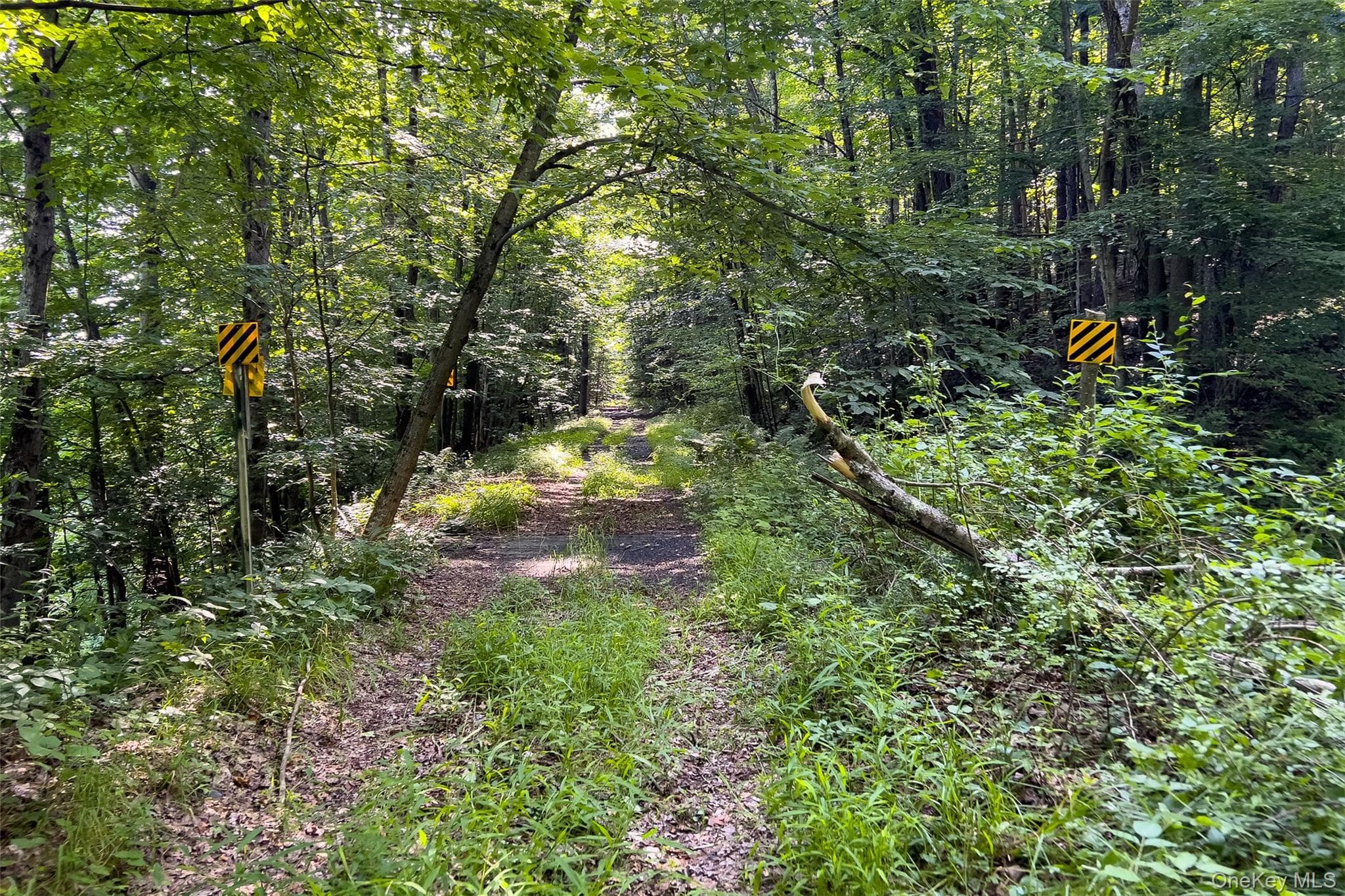 Lot #11 Franklin Depot Road thumbnail 29