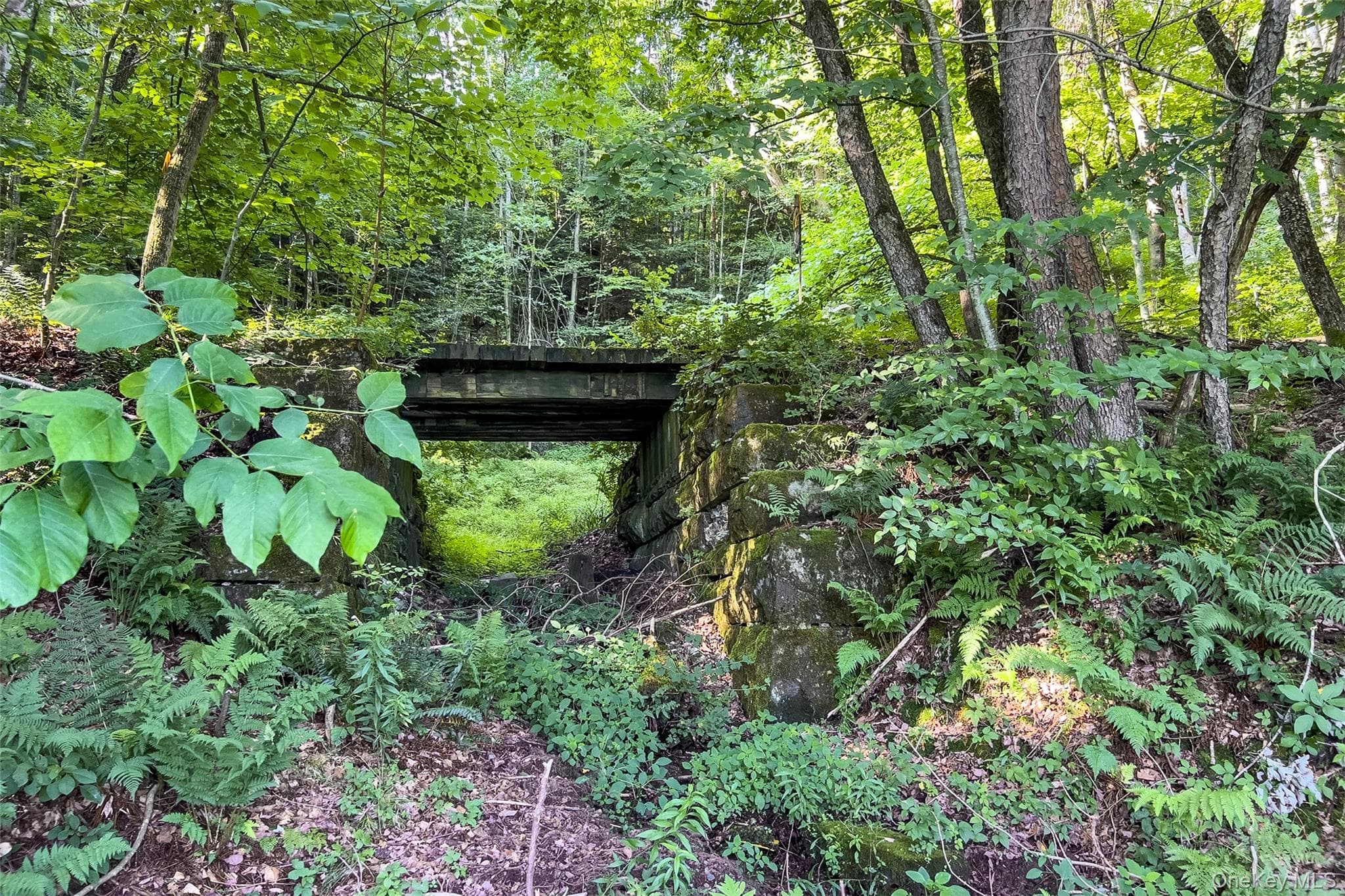 Lot #11 Franklin Depot Road thumbnail 27