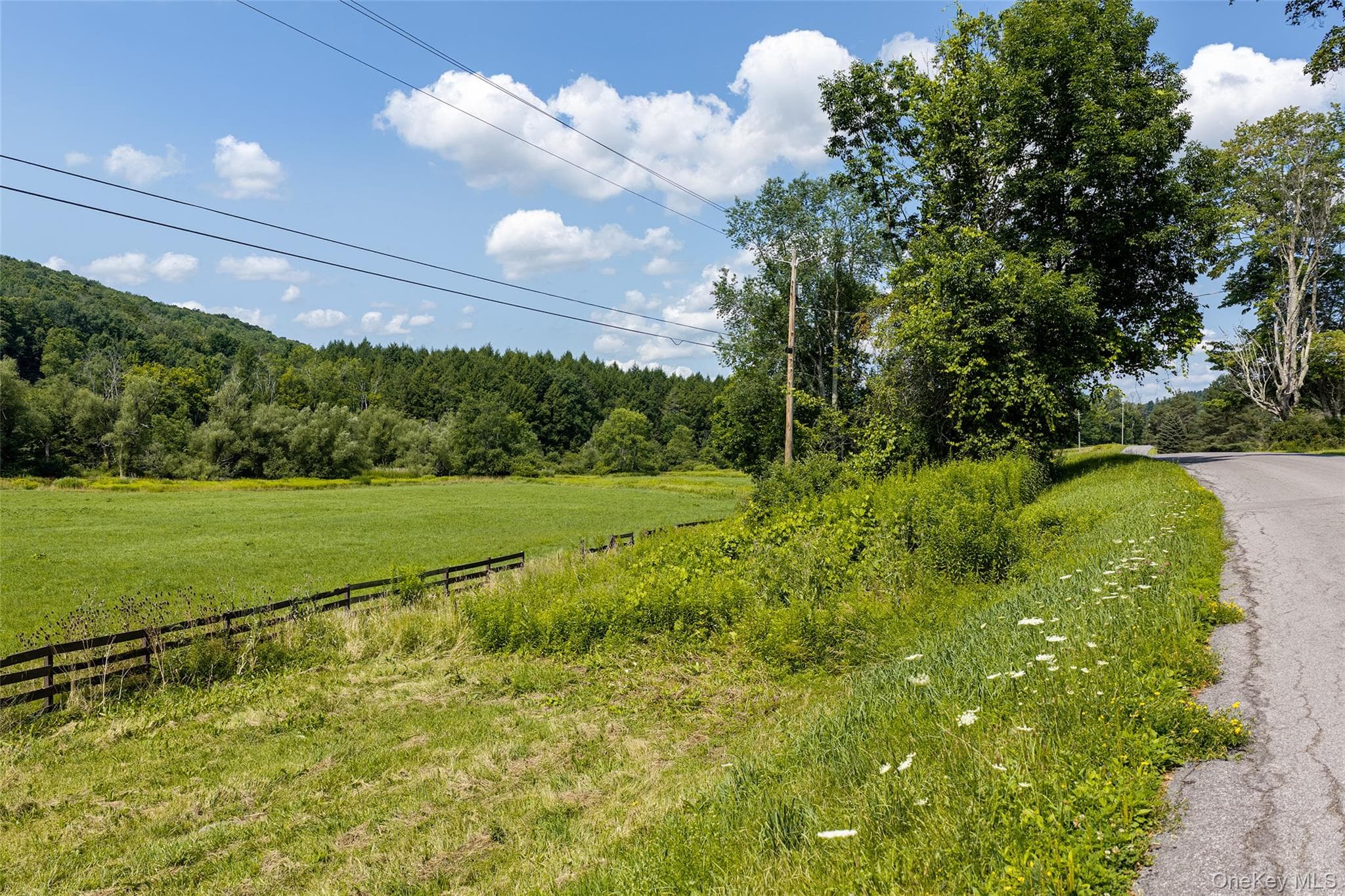 Lot #11 Franklin Depot Road thumbnail 5