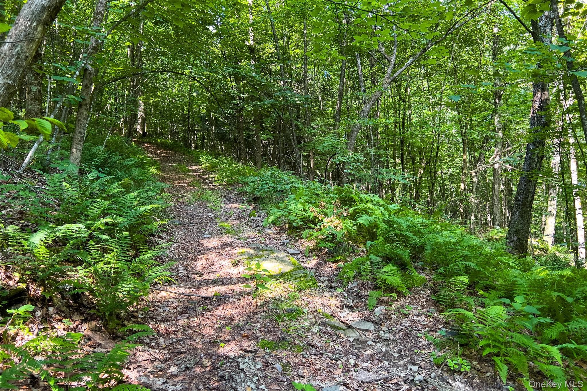 Lot #11 Franklin Depot Road thumbnail 43