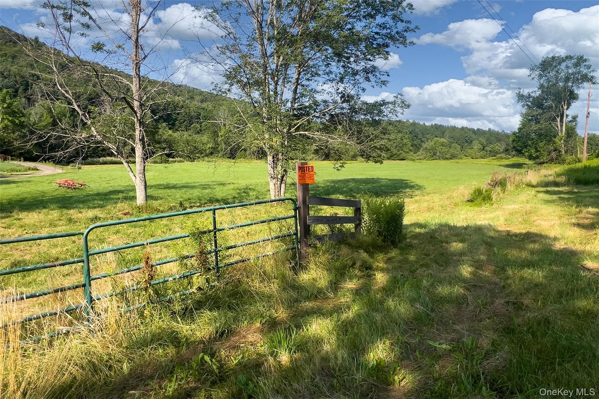 Lot #11 Franklin Depot Road thumbnail 6