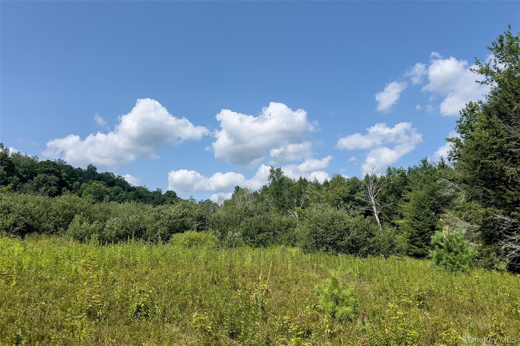 Lot #11 Franklin Depot Road thumbnail 21
