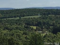 Greeley Road /rte 27, Craryville
