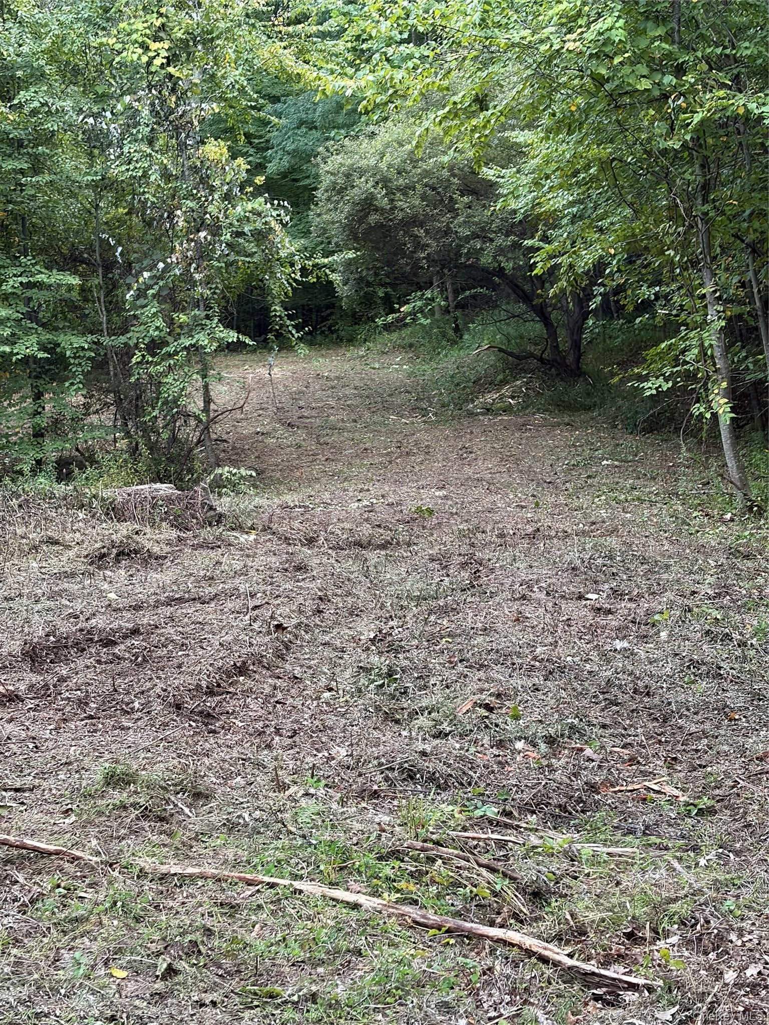 Canterbury Drive thumbnail 12