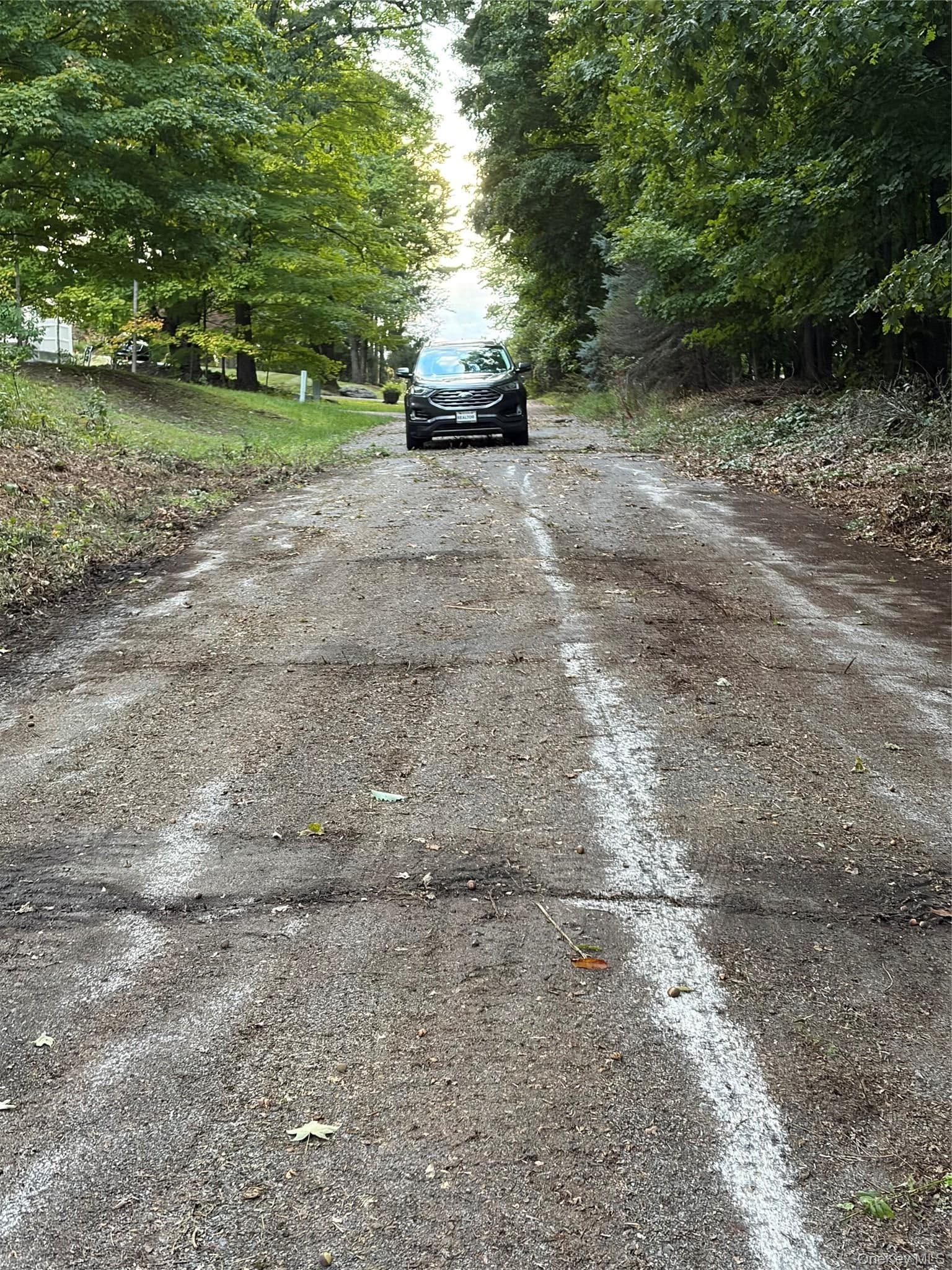 Canterbury Drive thumbnail 11