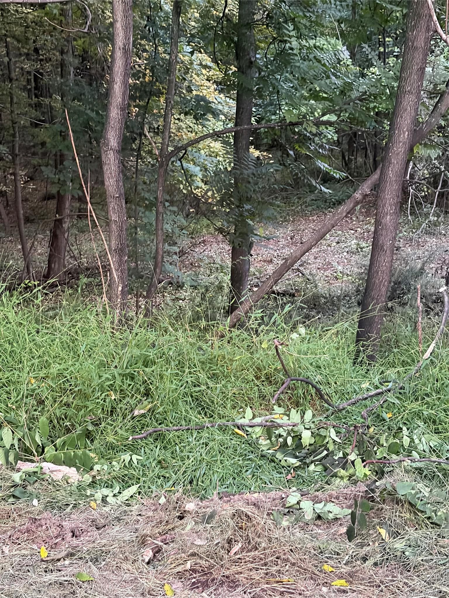 Canterbury Drive thumbnail 14