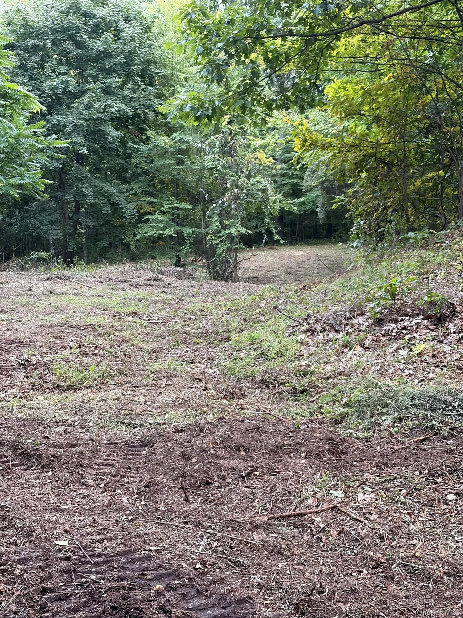 Canterbury Drive thumbnail 10