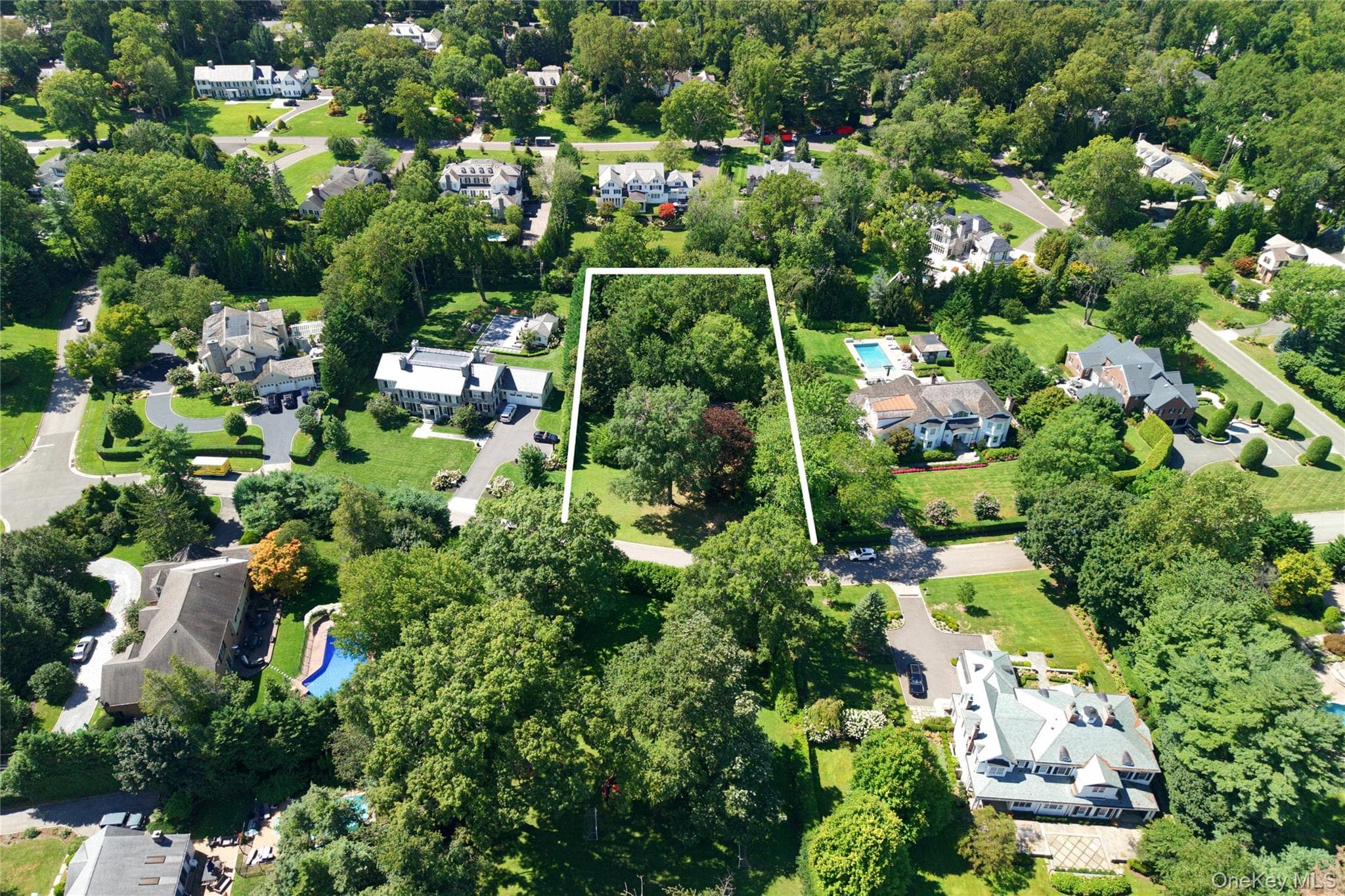 111 Birch Lane thumbnail 6