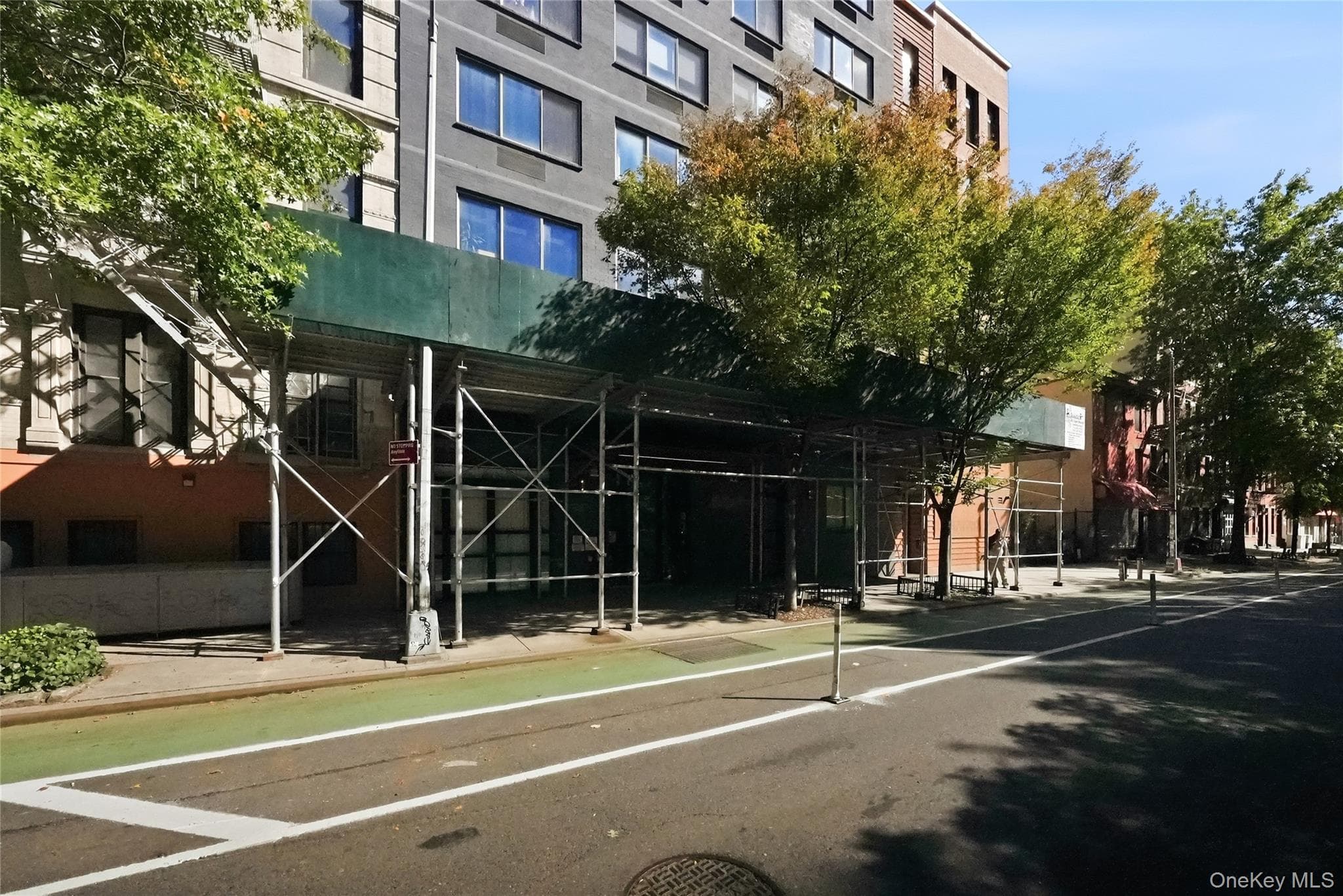 533 E 12th Street Unit: 5B thumbnail 33