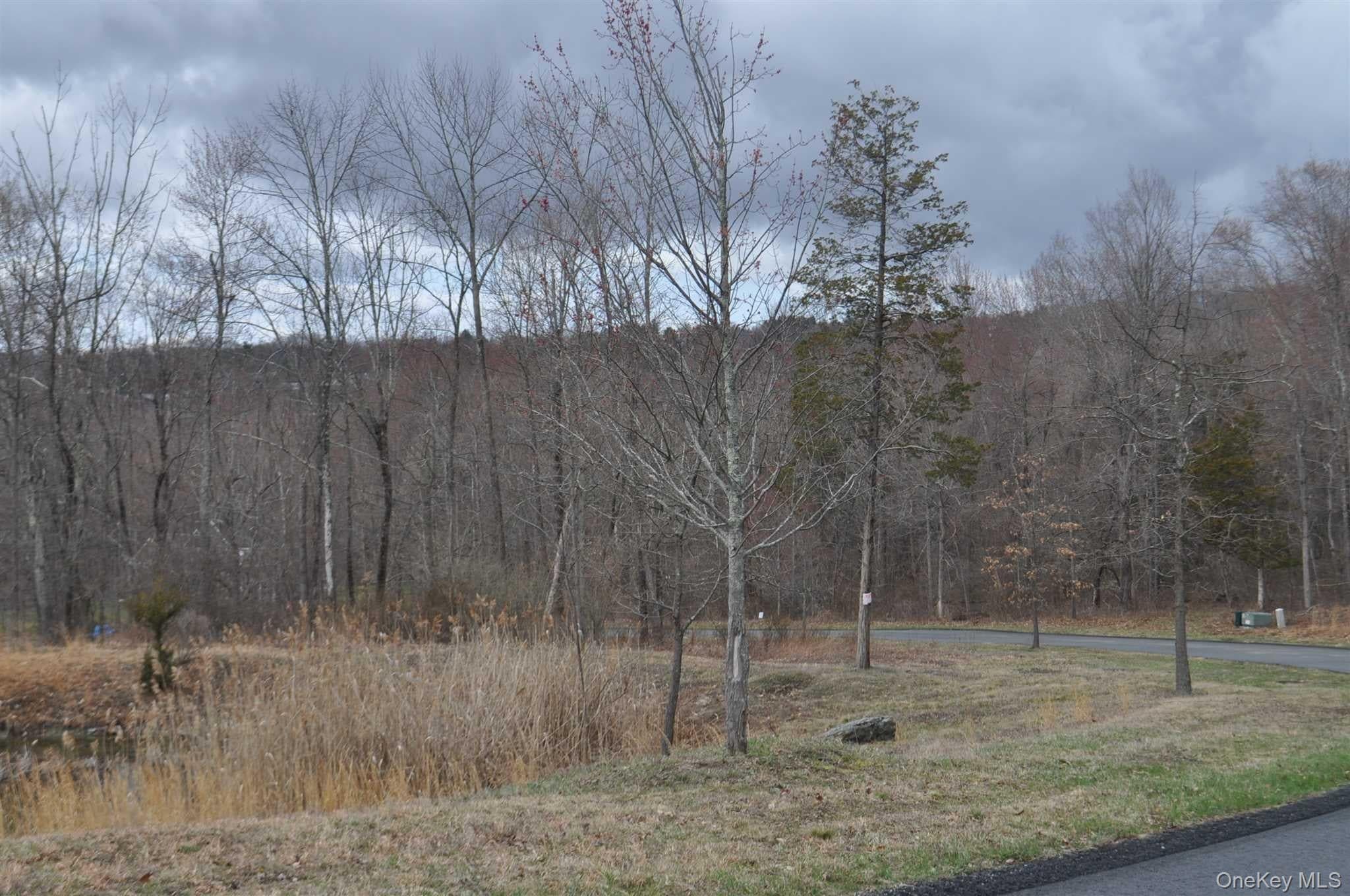 Stonecrest Lot #19 Court thumbnail 7