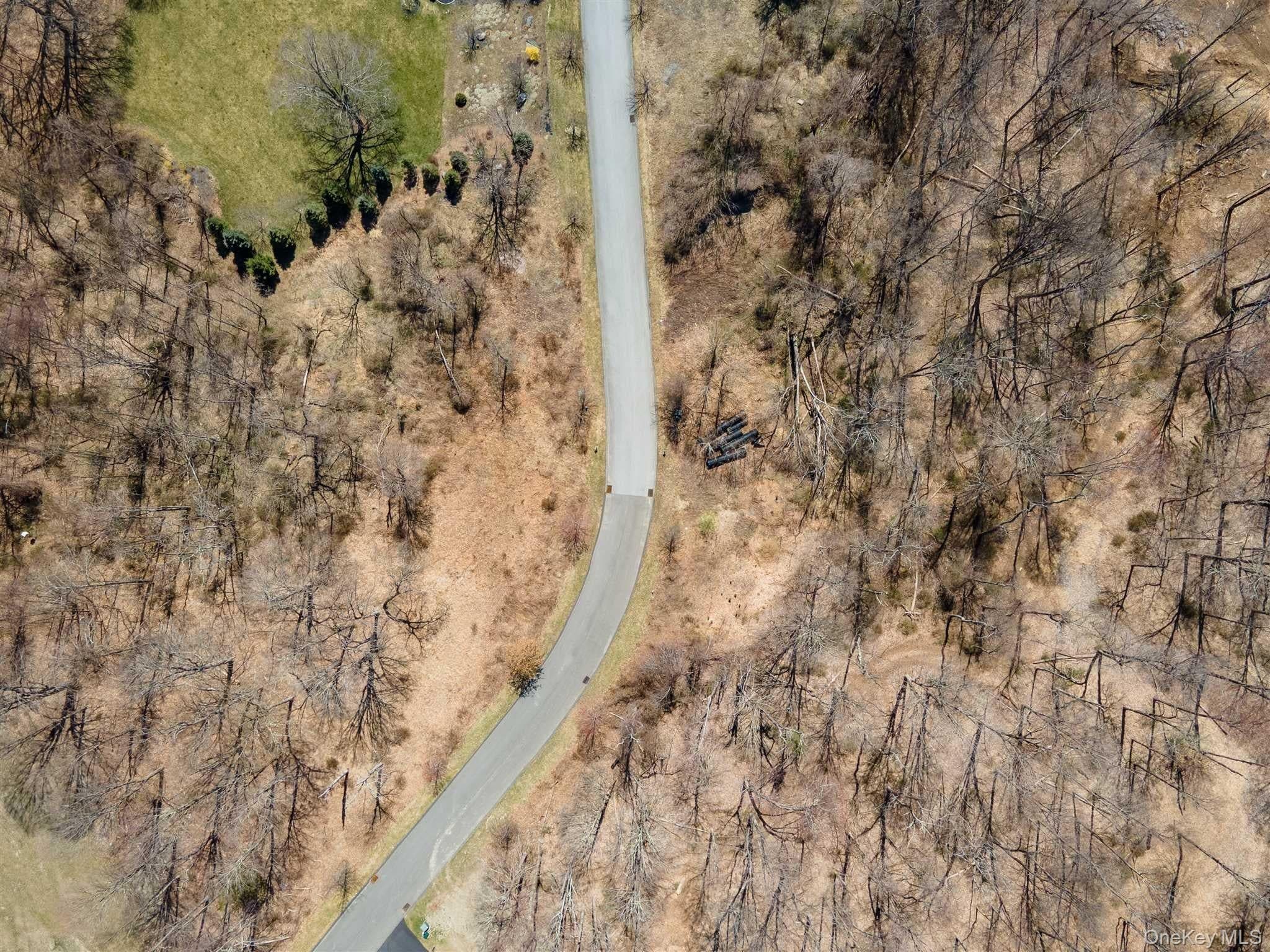 Stonecrest Lot #19 Court thumbnail 17