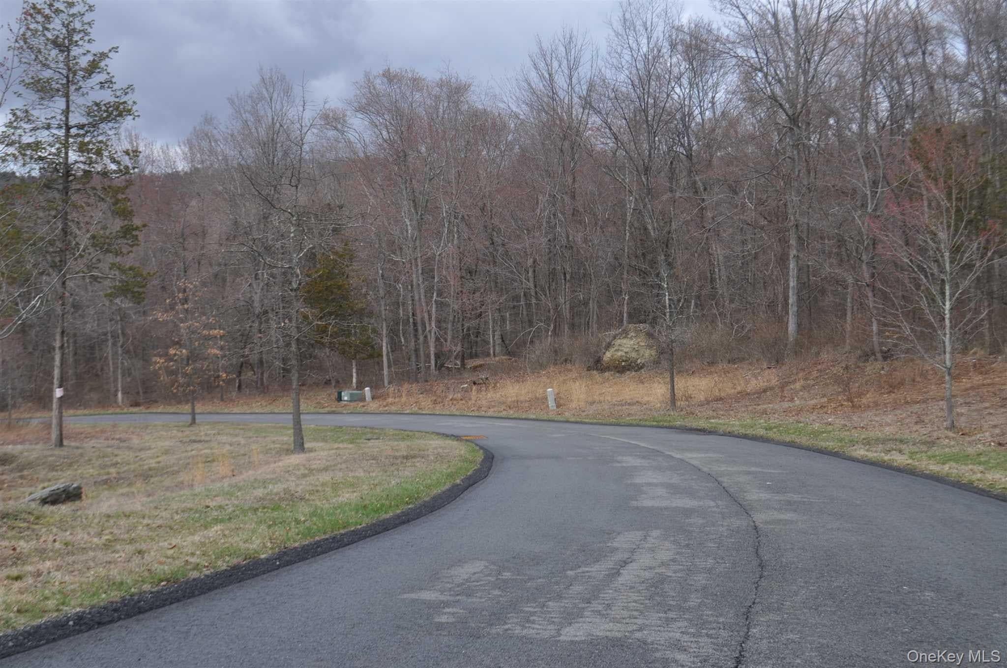 Stonecrest Lot #19 Court thumbnail 5