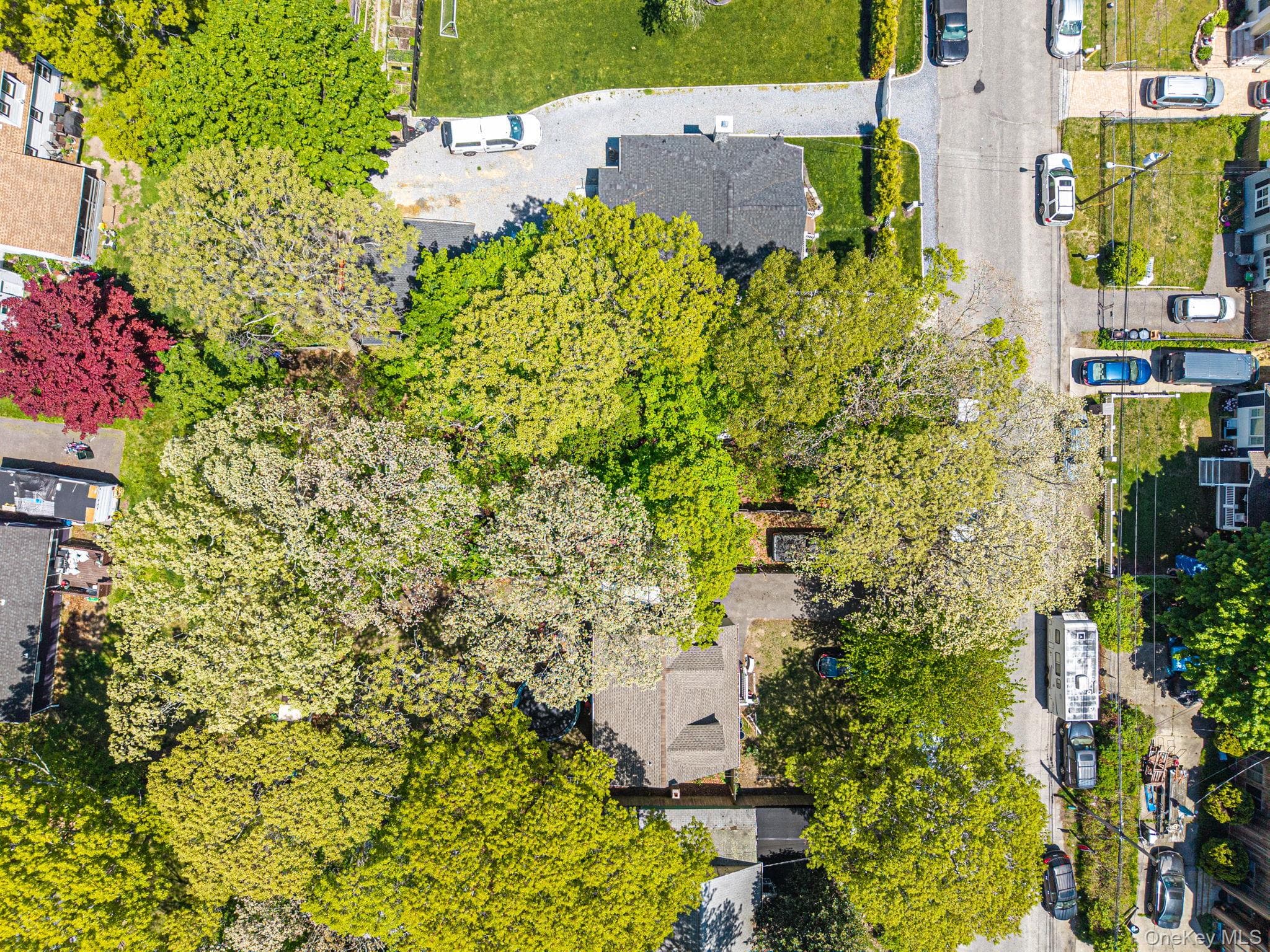 46 Brushwood Drive thumbnail 10