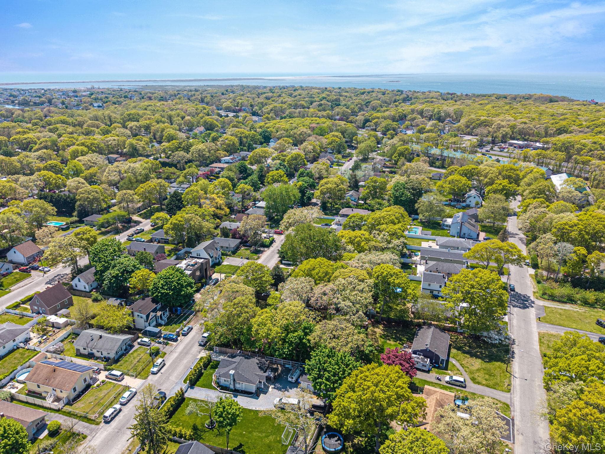 46 Brushwood Drive thumbnail 9