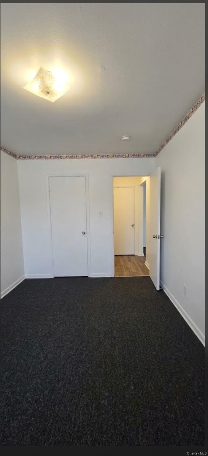 873 E 216th Street thumbnail 22