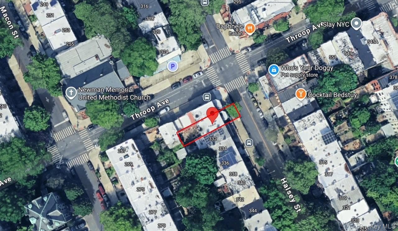 330 Halsey Street thumbnail 19