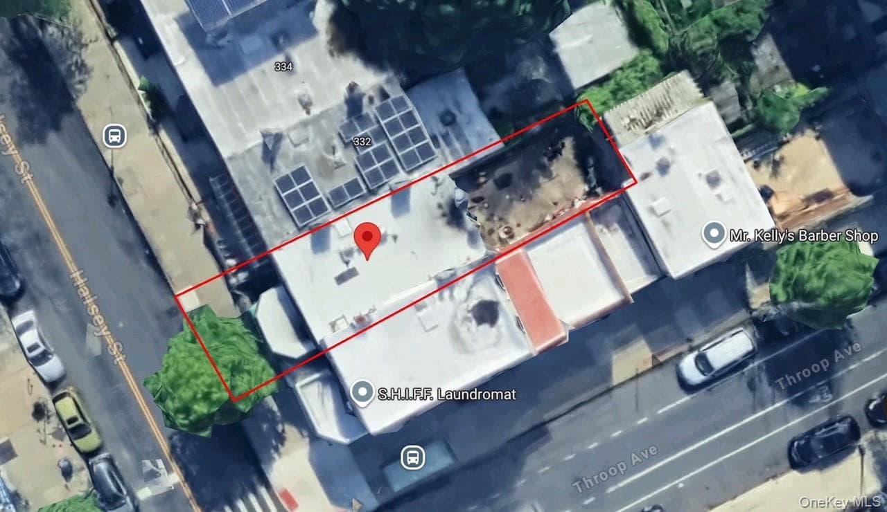 330 Halsey Street thumbnail 13