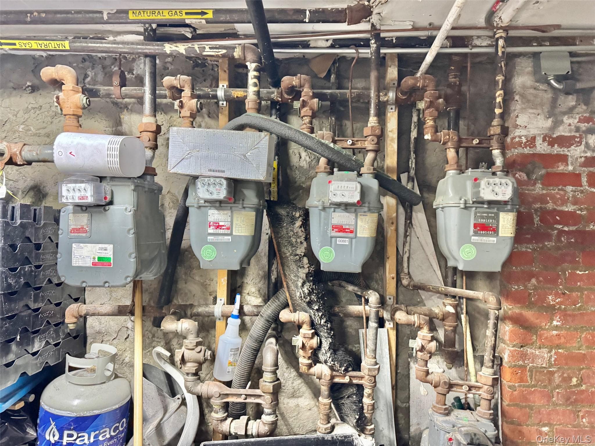 330 Halsey Street thumbnail 25