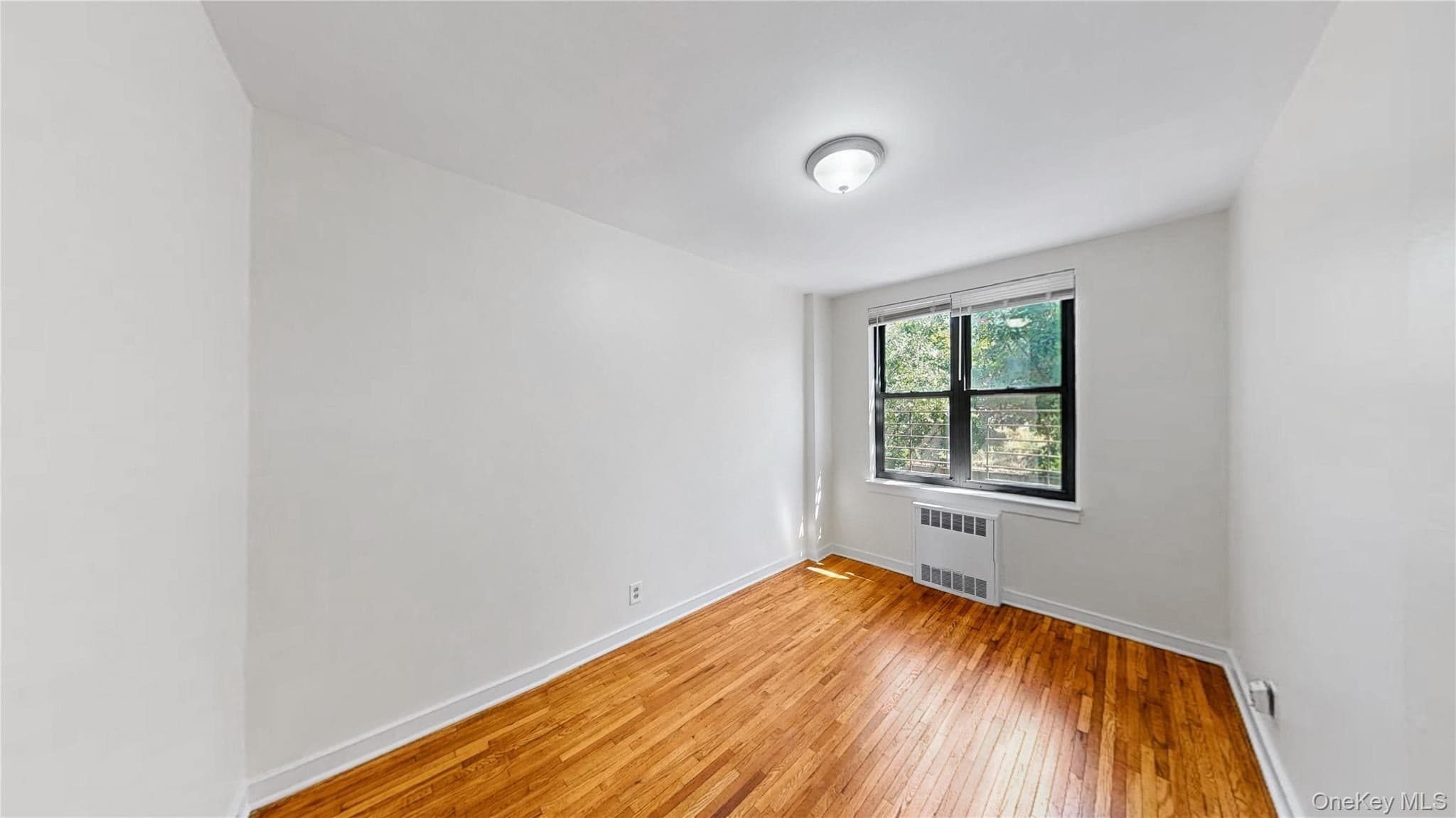 52-21 39th Road Unit: 2A thumbnail 8