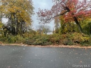6 Pine Street thumbnail 3