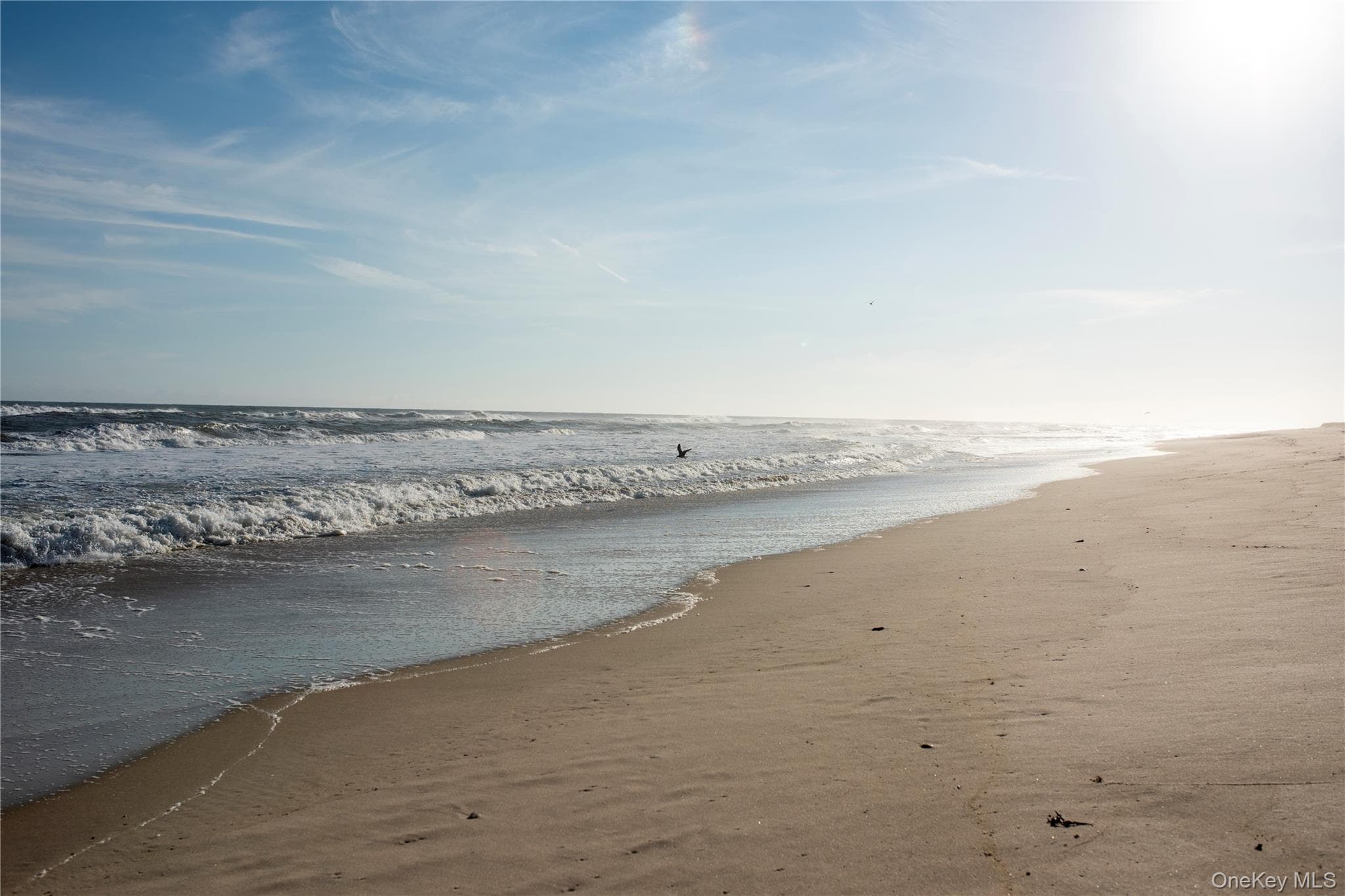 623 Lazy Point Road thumbnail 8